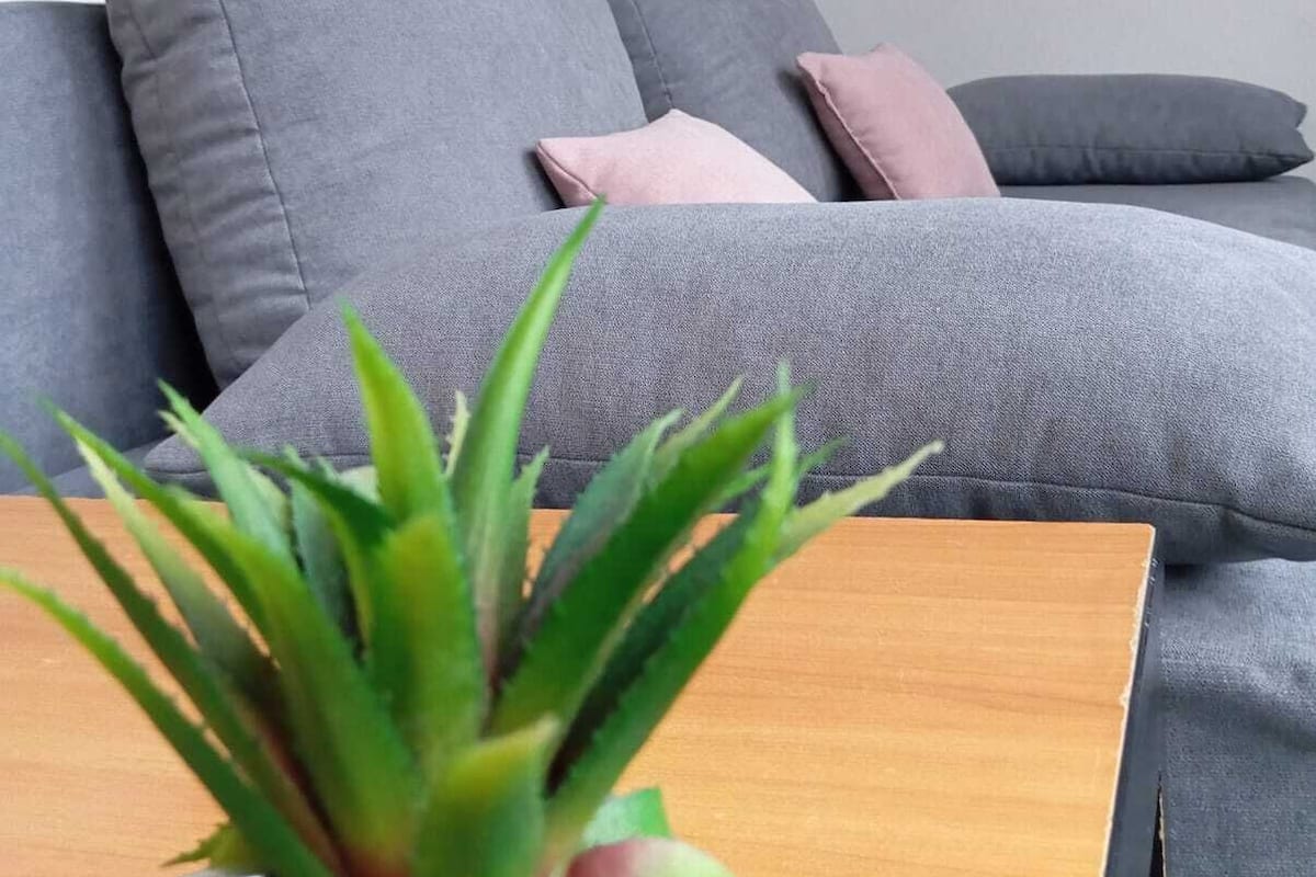Un sofá gris con varios cojines, una mesita de madera y una planta verde en primer plano.