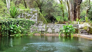 Taman
