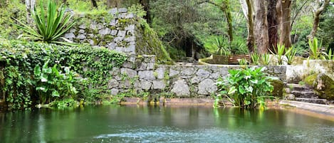 Jardín