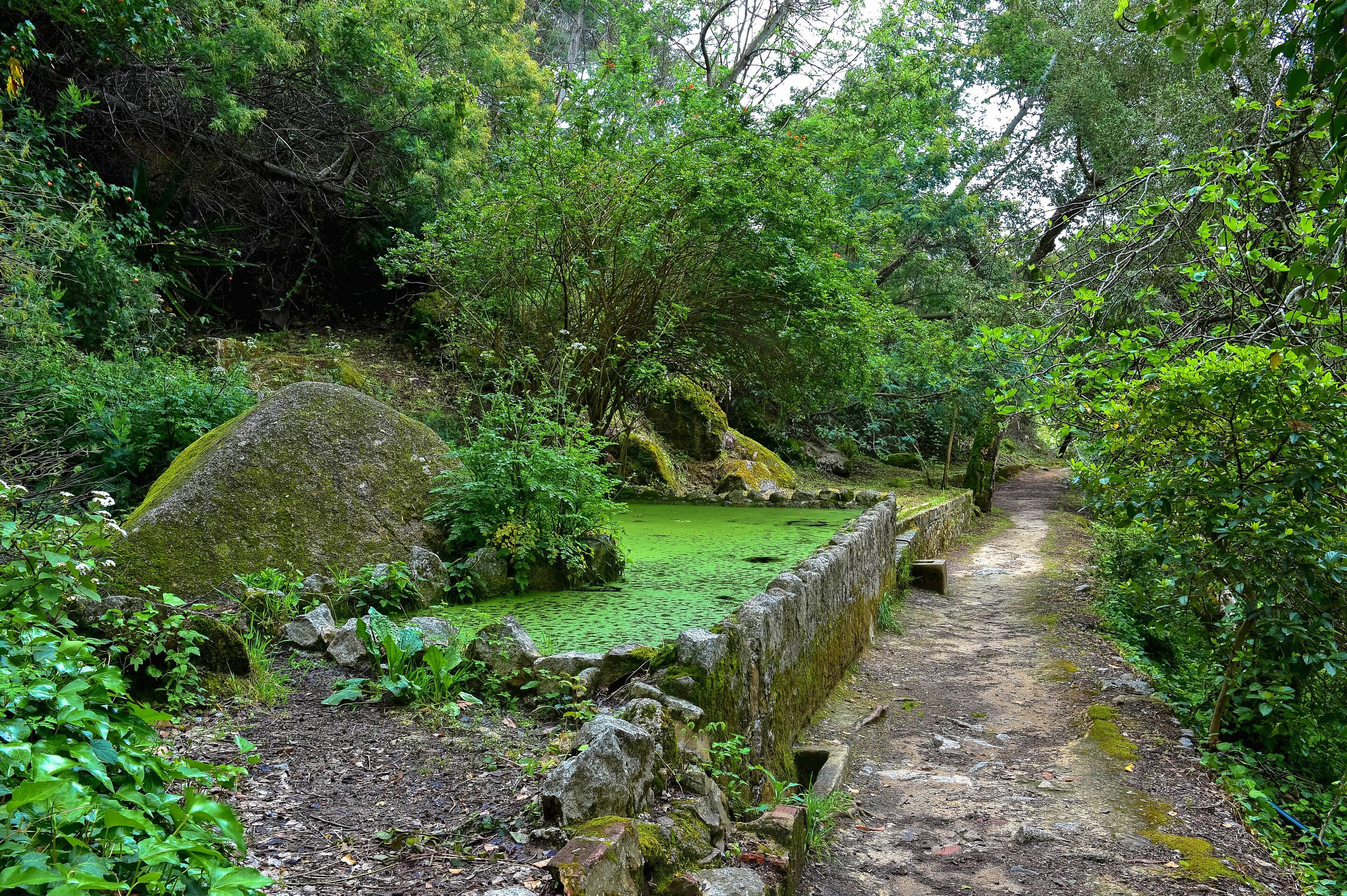 Foto - Pure Monchique Hotel - Villa Termal Spa Resort - by Unlock Hotels