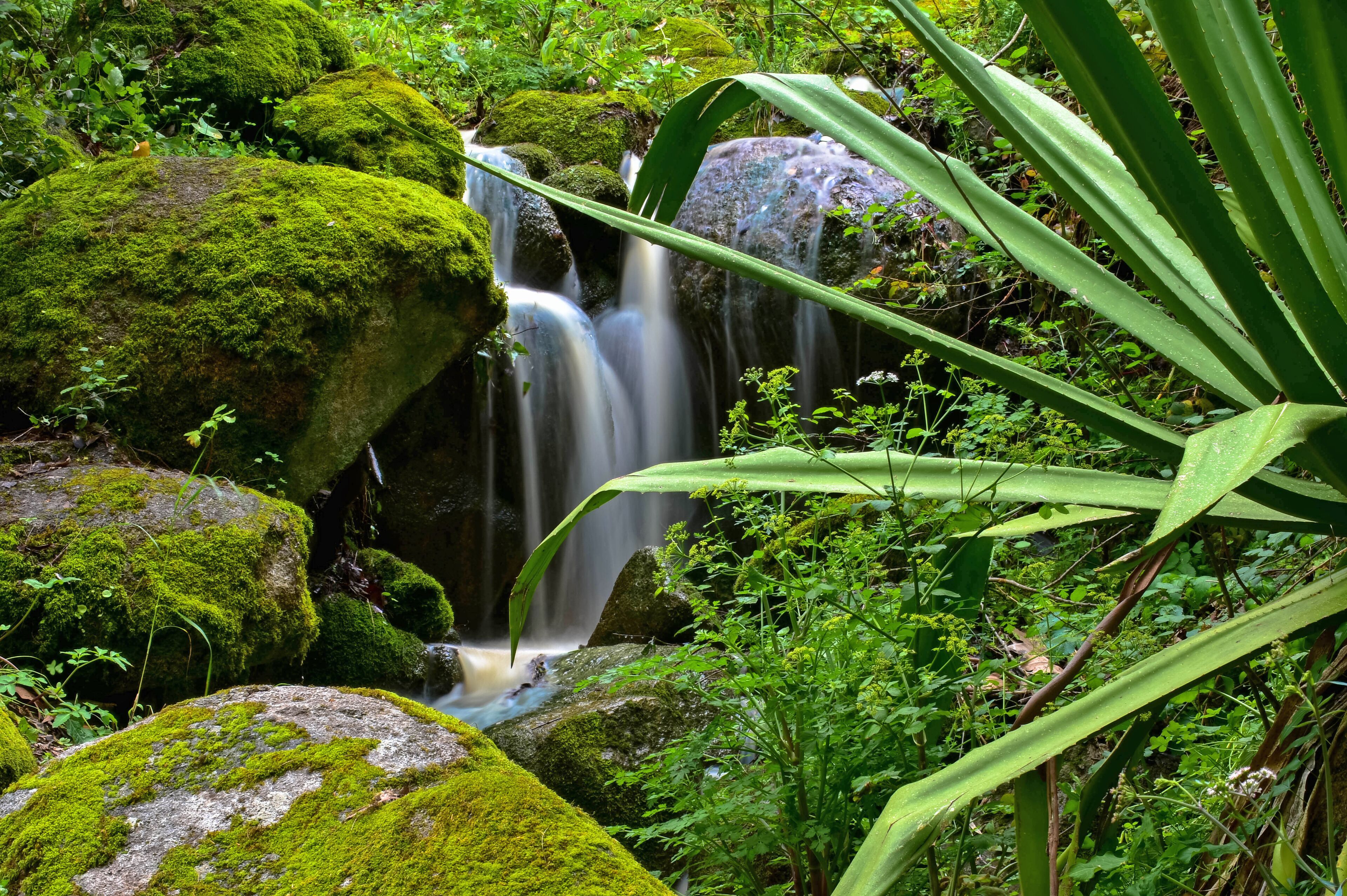 Foto - Pure Monchique Hotel - Villa Termal Spa Resort - by Unlock Hotels