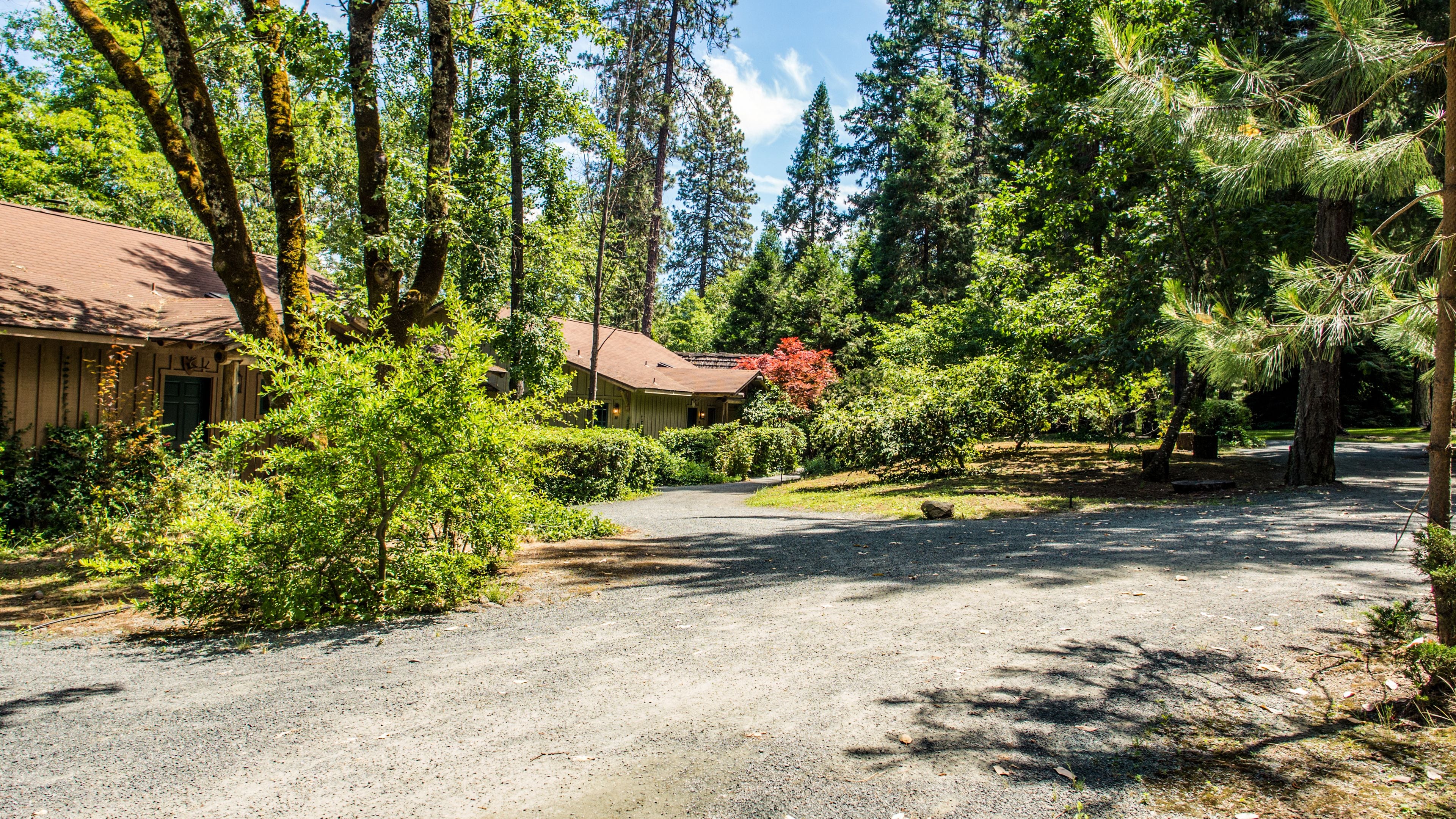A gravel driveway leading to a wooden cabin surrounded by dense forest.