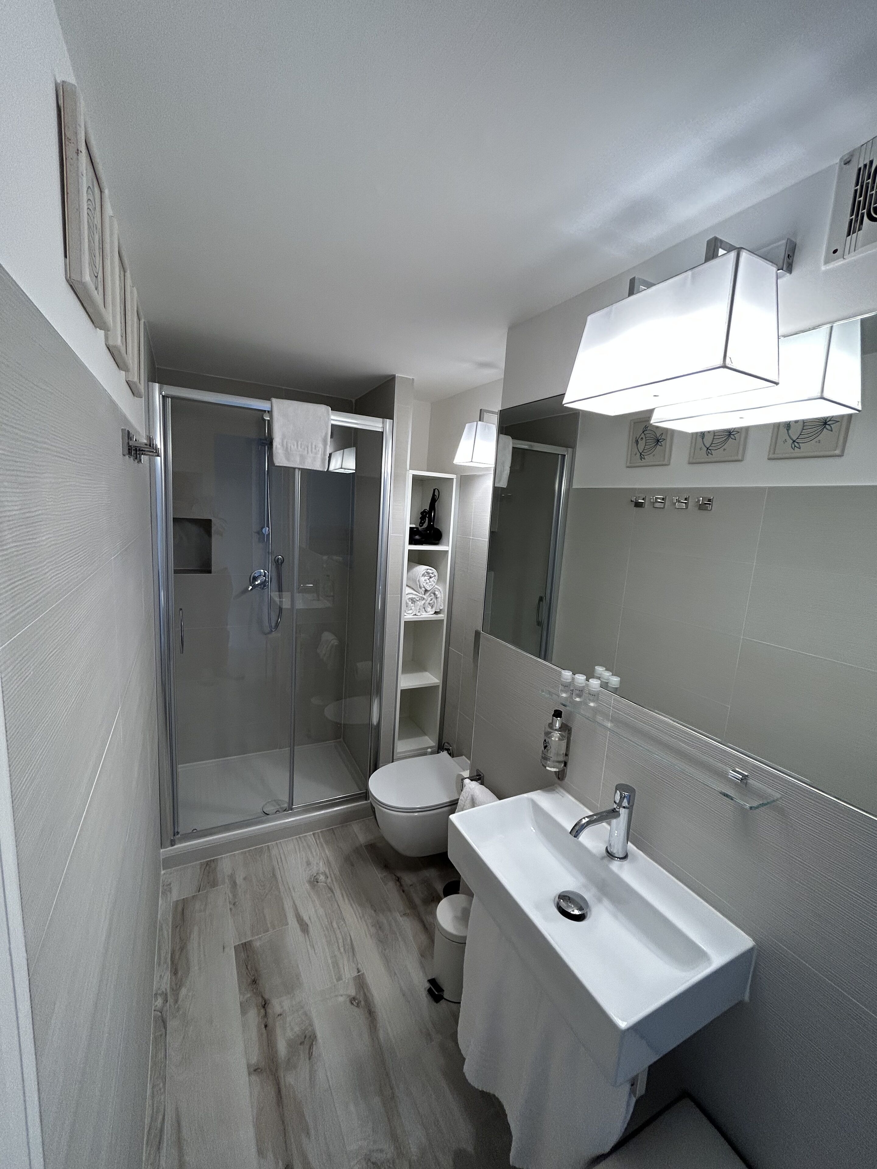 A modern bathroom with a glass-enclosed shower, a white sink, and a toilet.