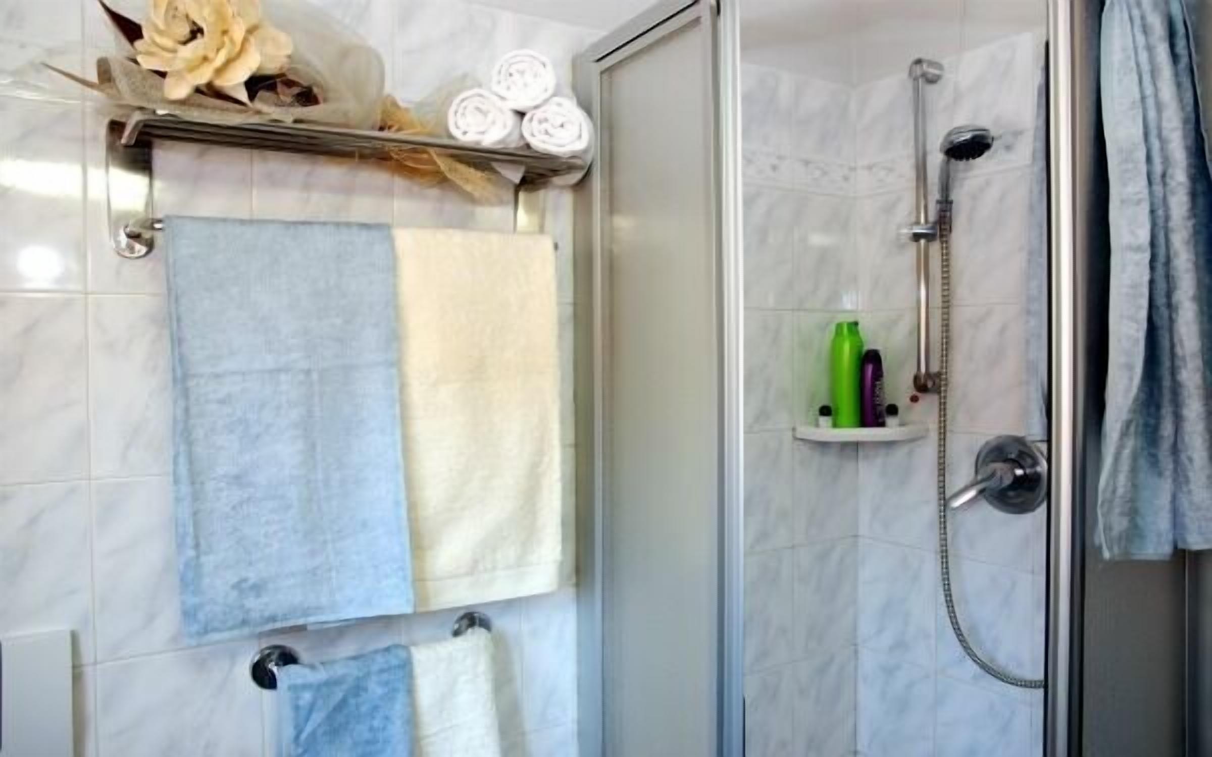 shower, hair dryer, bidet, towels