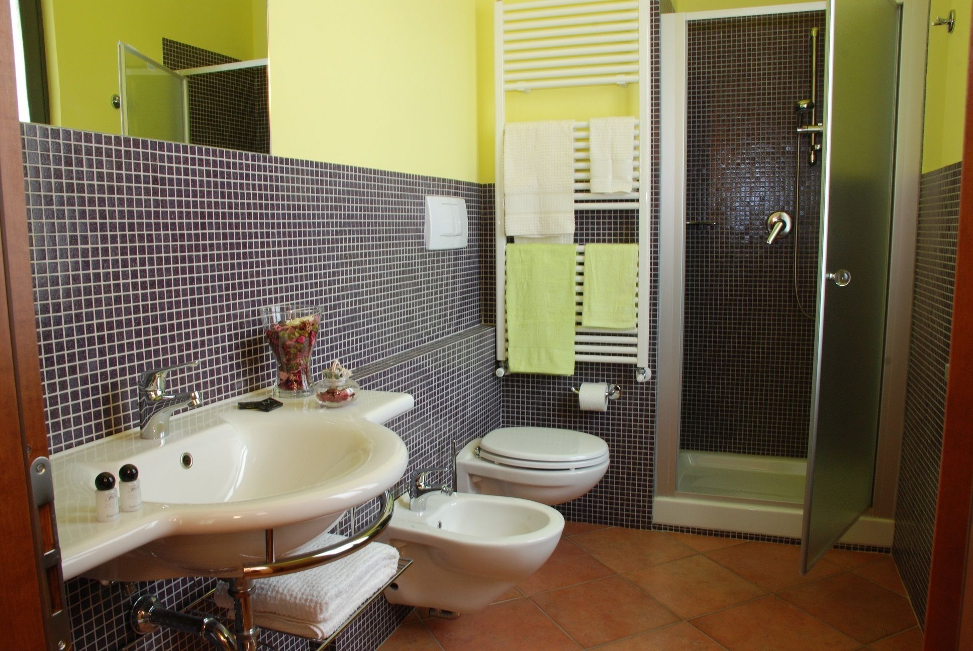 shower, hair dryer, bidet, towels