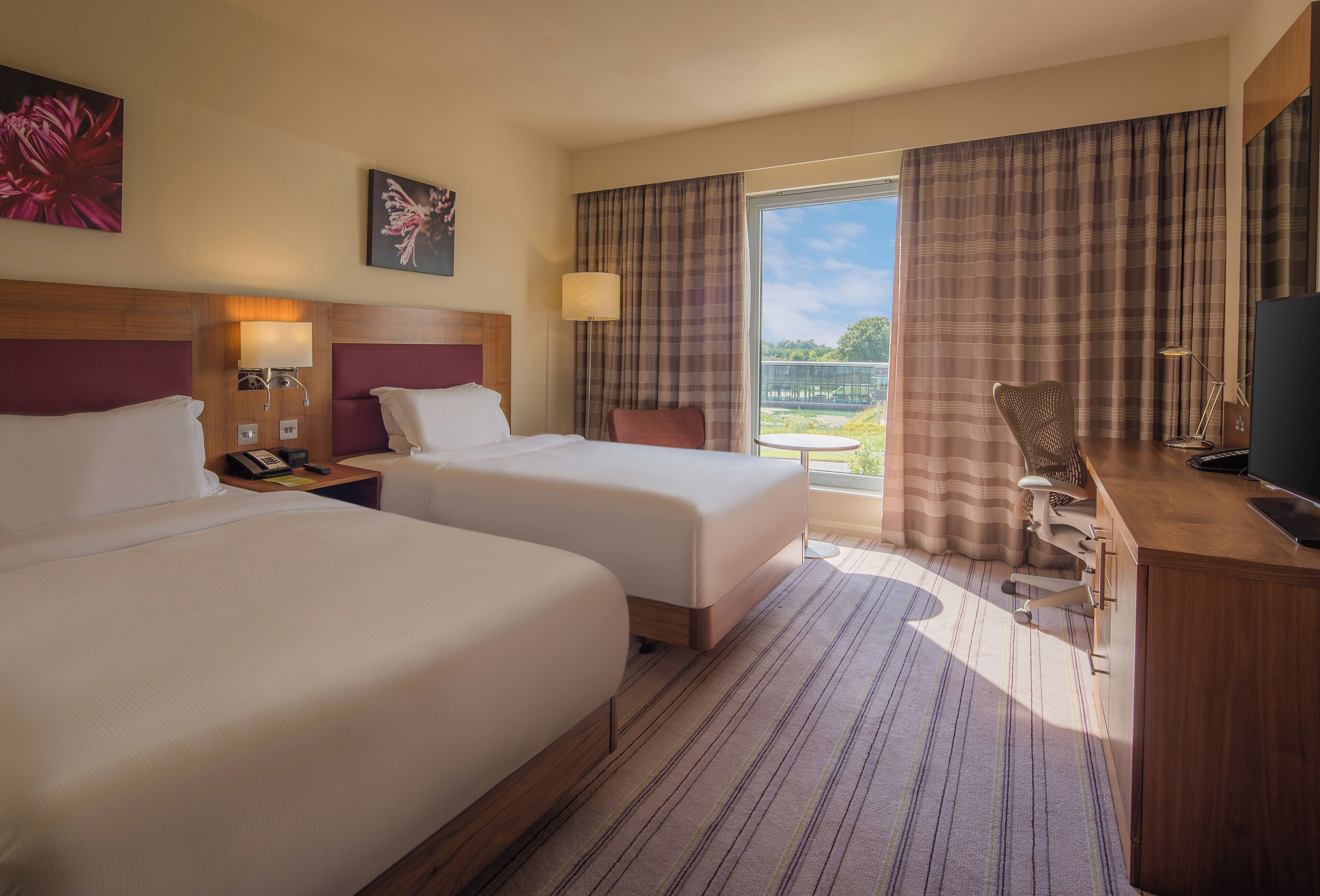 Standard Room, 2 Single Beds