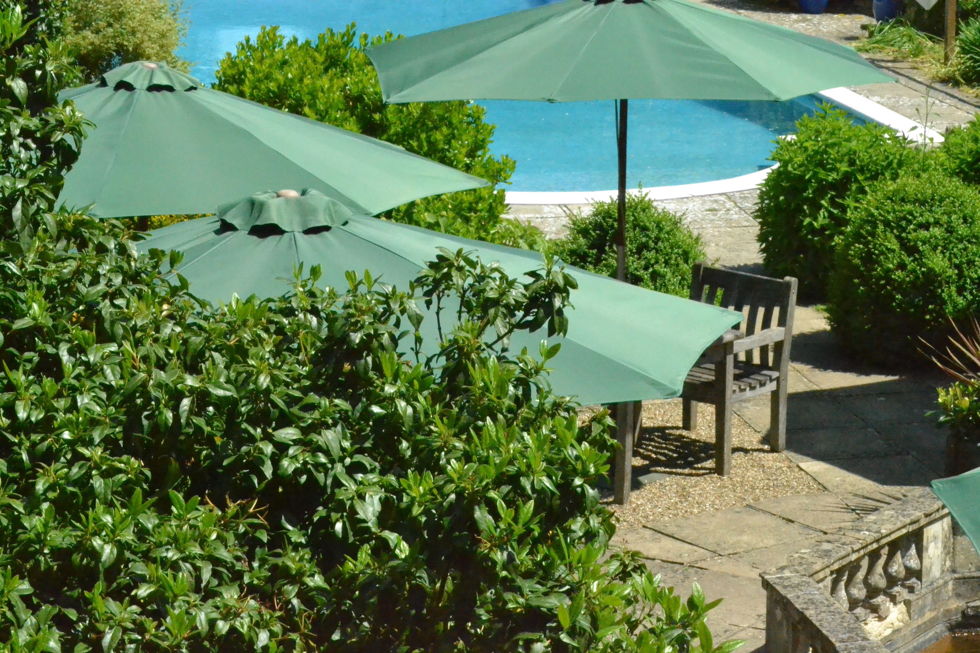 Un espace piscine agrémenté de parasols verts, d’une chaise en bois et d’un chemin pavé de pierres.