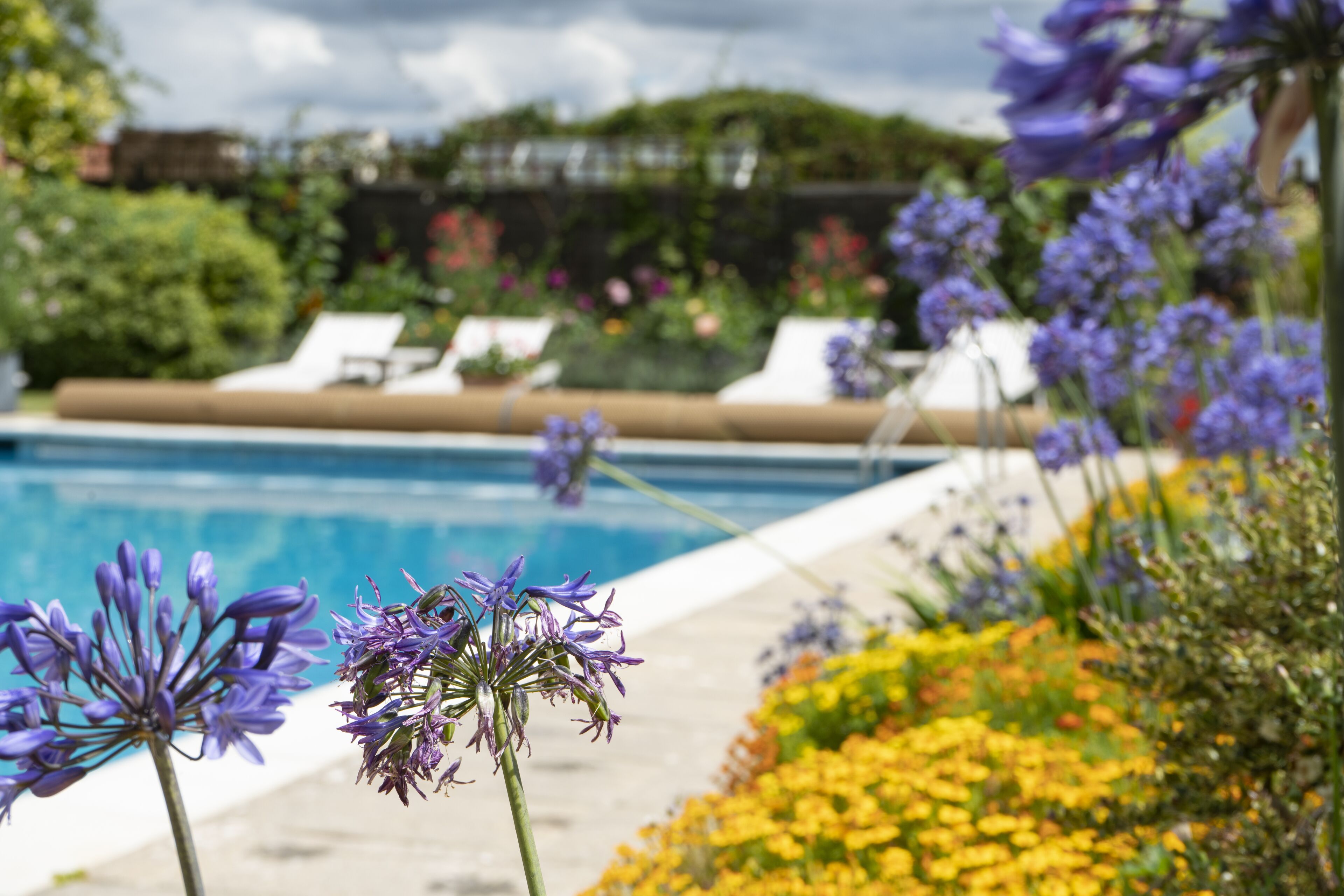 outdoor pool, open 8:00 am to 7:00 pm, pool umbrellas, pool loungers