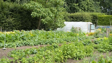 Jardin