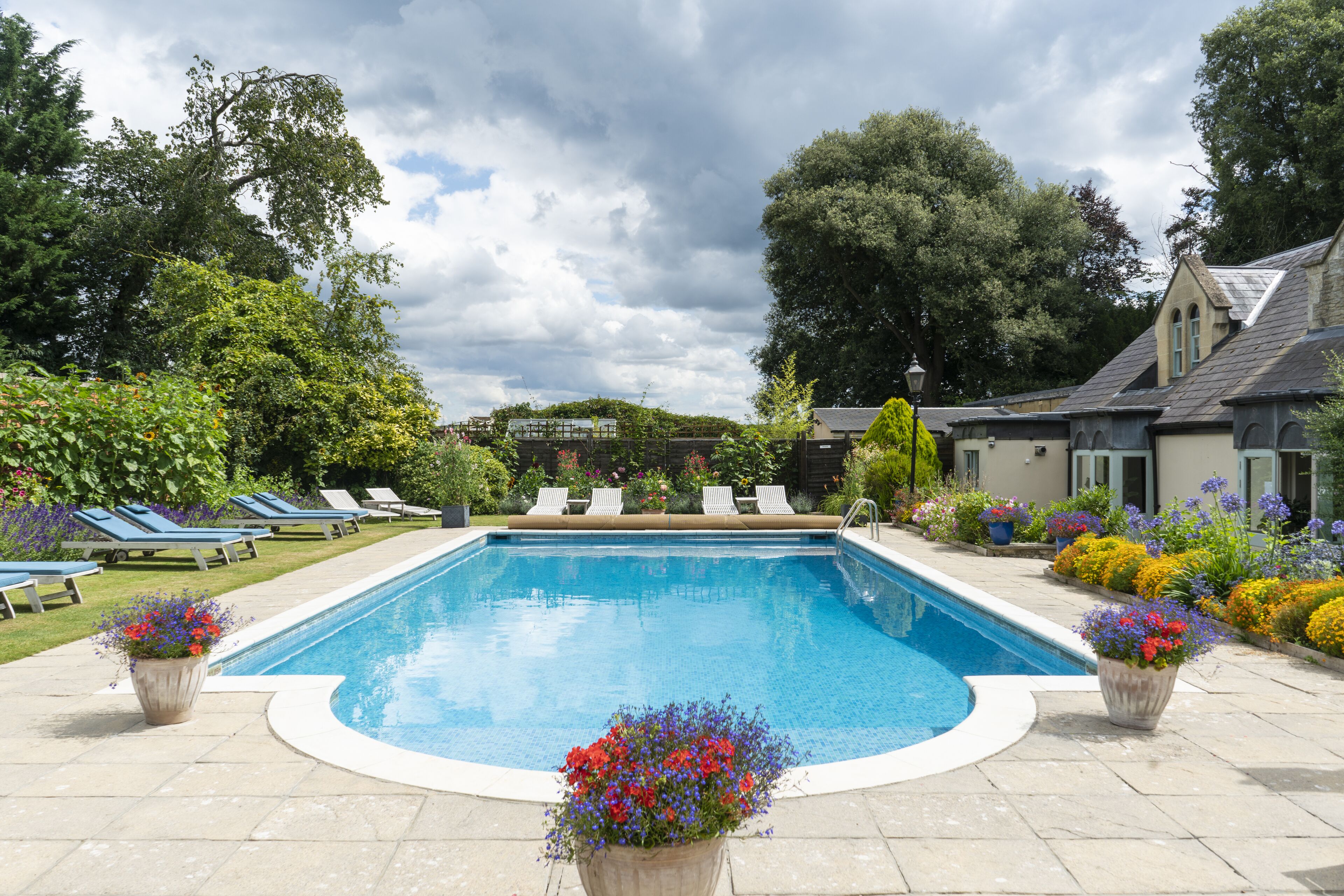 Une piscine rectangulaire à bords incurvés, entourée de chaises longues et de plantes en pot.