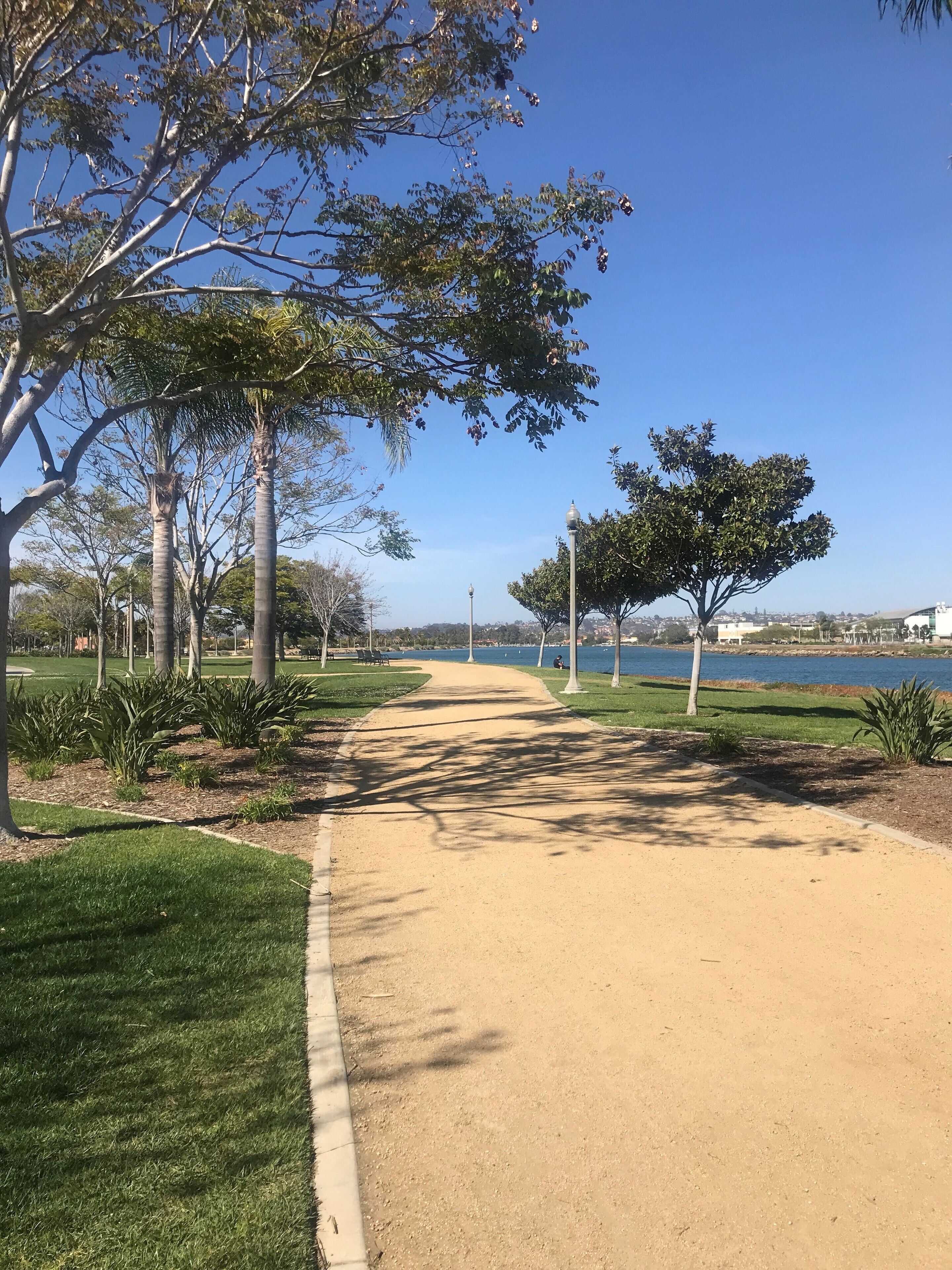 A paved pathway in a park with trees and a view of a body of water.
