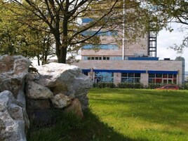 A modern building with a stone wall and a tree in the foreground.