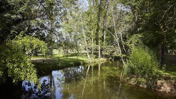 Un étang paisible, entouré d’une végétation luxuriante et d’arbres.