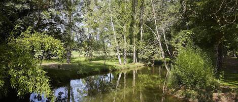 A serene pond surrounded by lush greenery and trees.
