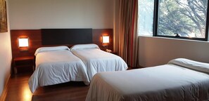 Minibar, in-room safe, desk, soundproofing - Hotel El Vallés (Briviesca)