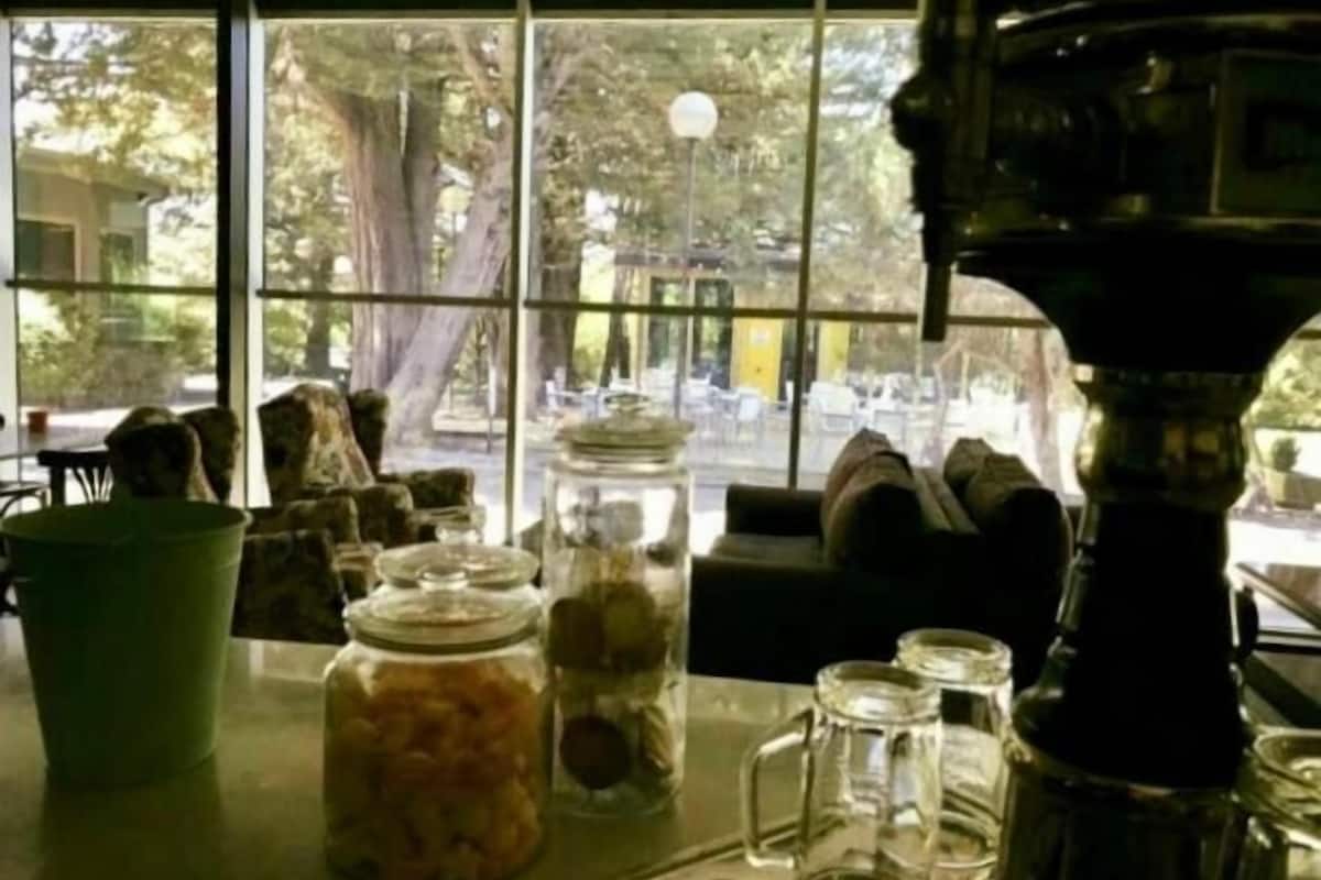 lunch and dinner served, fusion cuisine