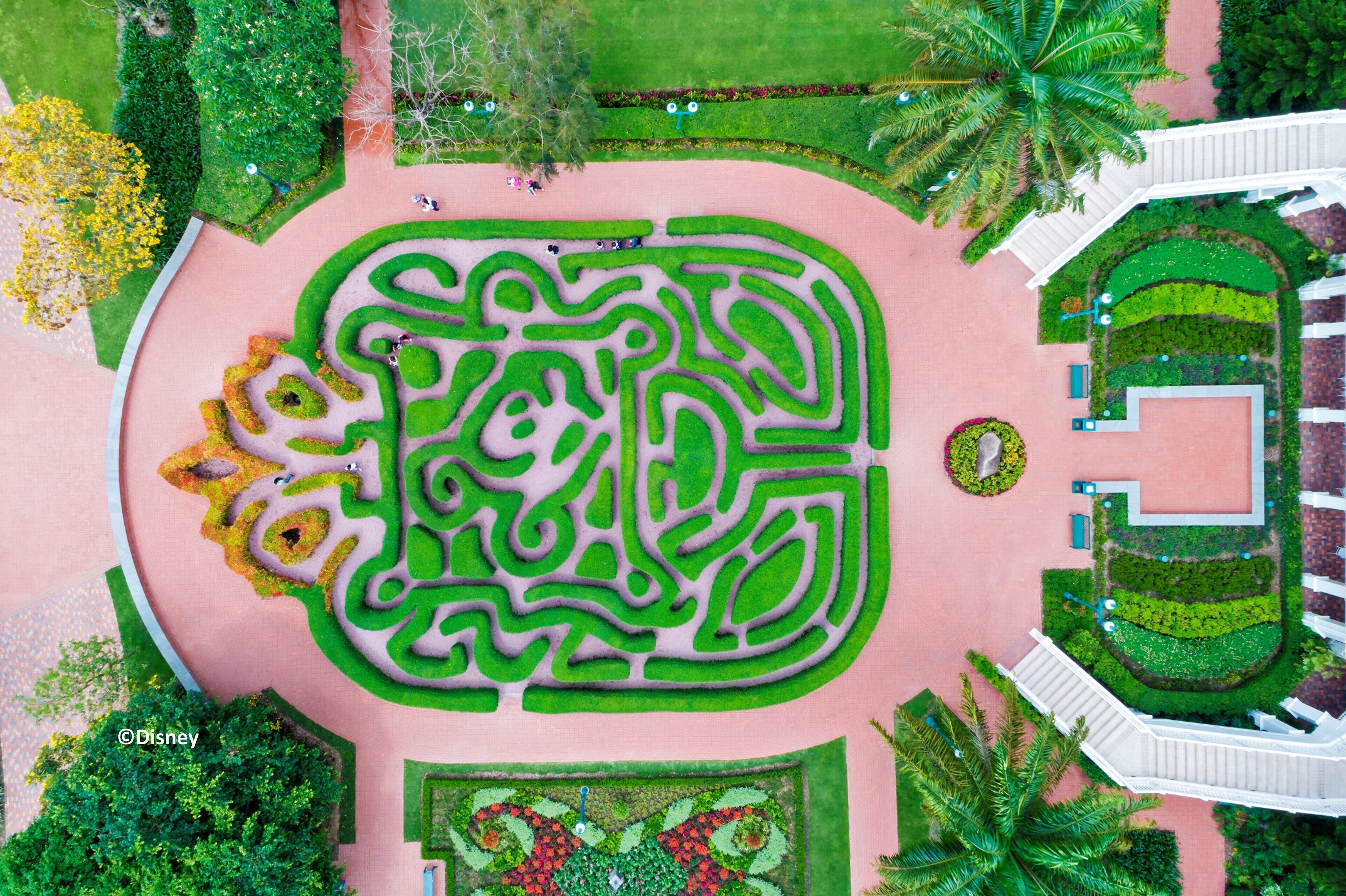 Photo - Hong Kong Disneyland Hotel