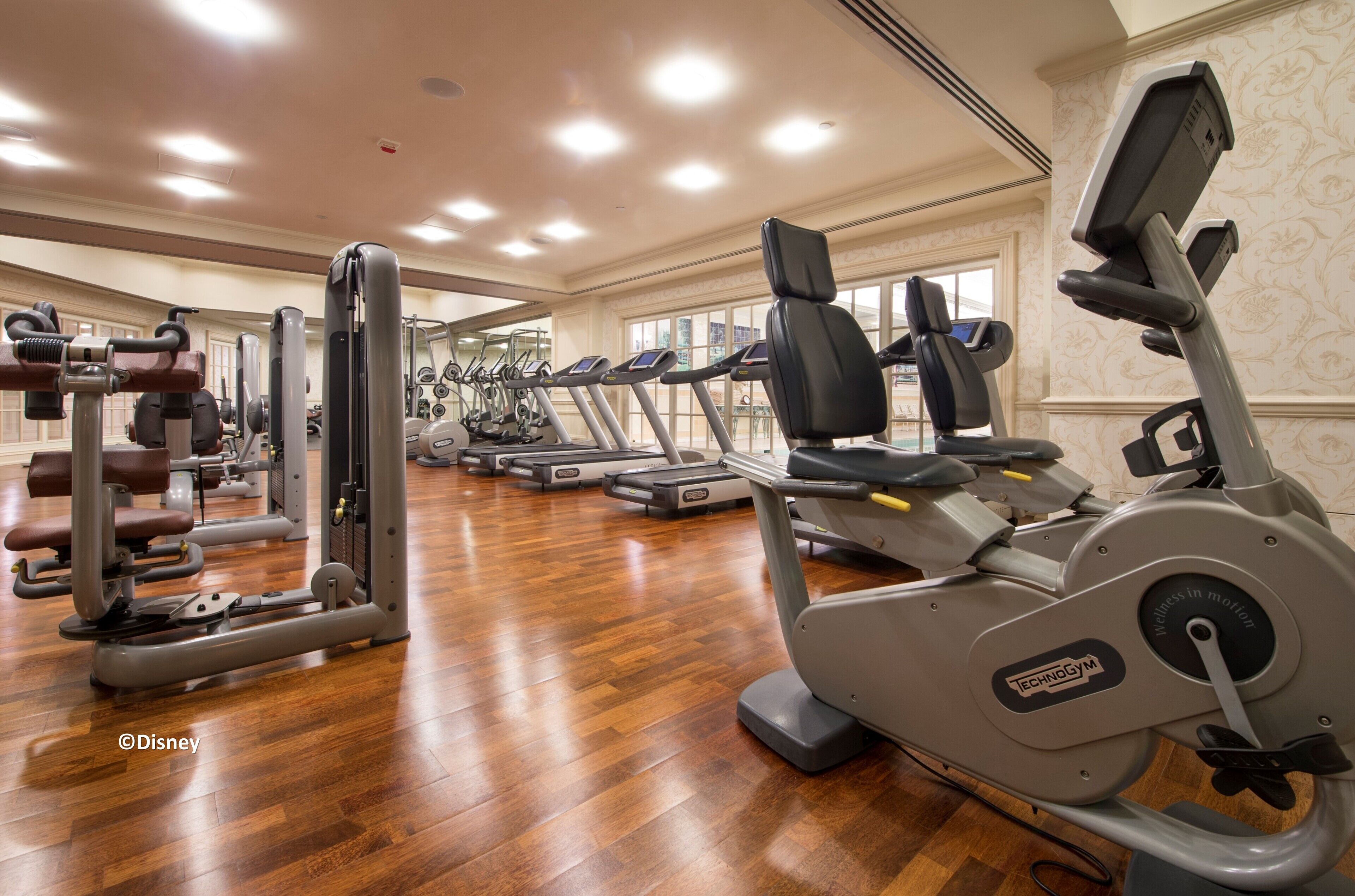 Photo - Hong Kong Disneyland Hotel