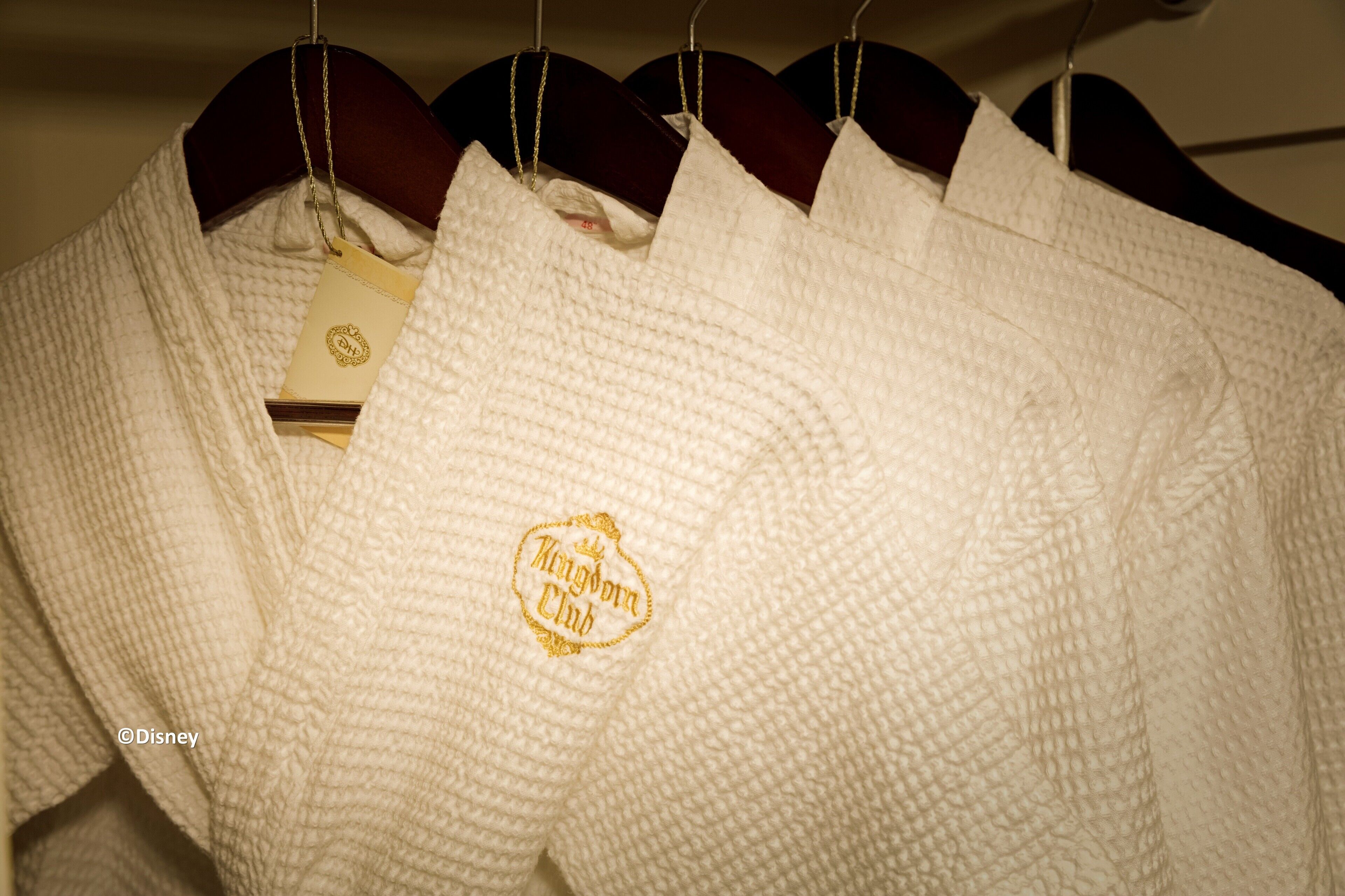 Photo - Hong Kong Disneyland Hotel