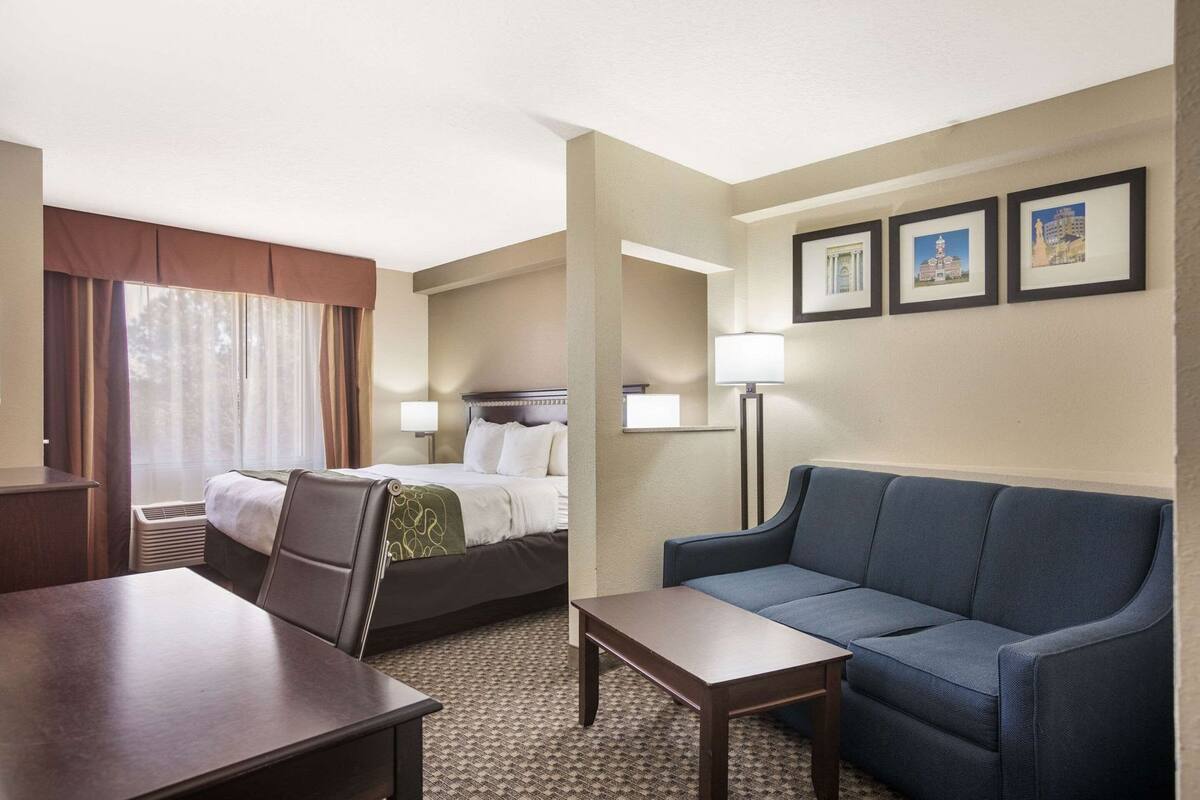 A hotel room with a bed, a desk, a sofa, a lamp, and framed pictures on the wall.
