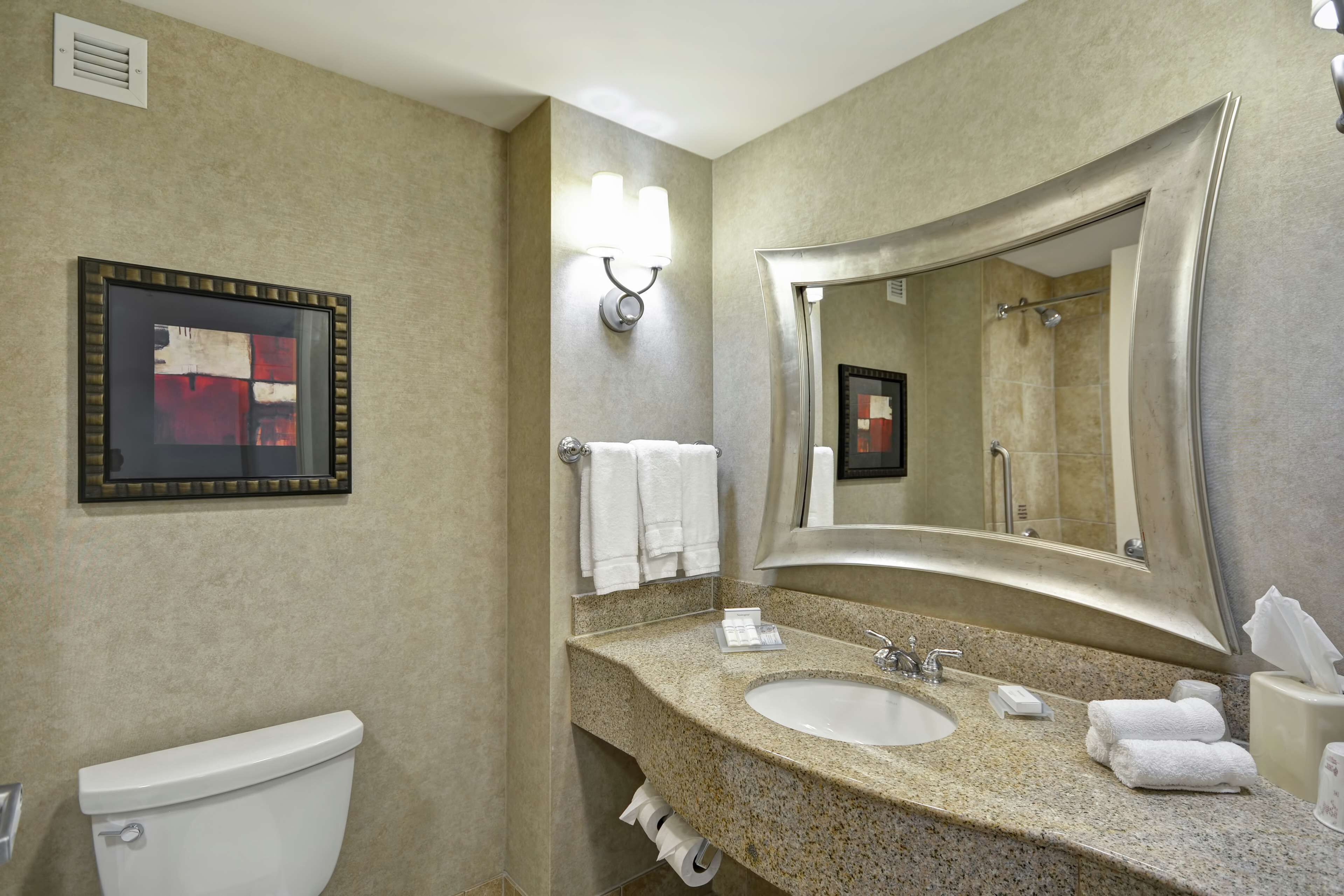 combined shower/bathtub, free toiletries, hair dryer, towels