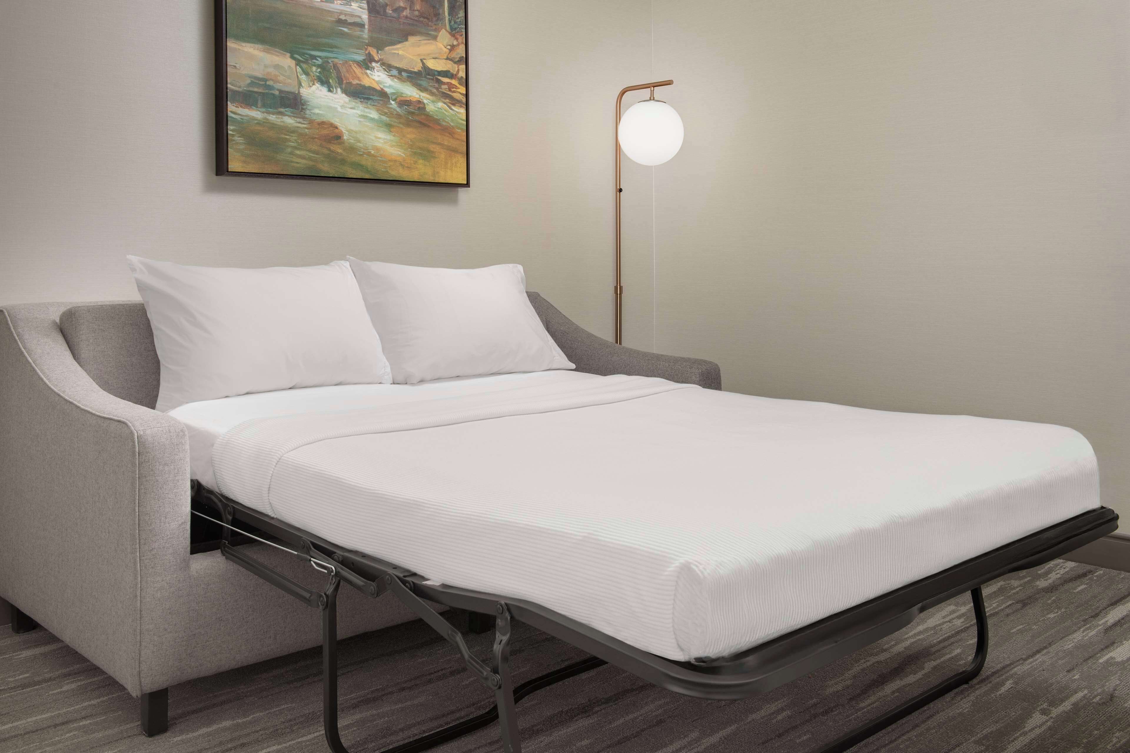 one king bed evolution suite | living area | 32-inch tv with cable channels, pay films