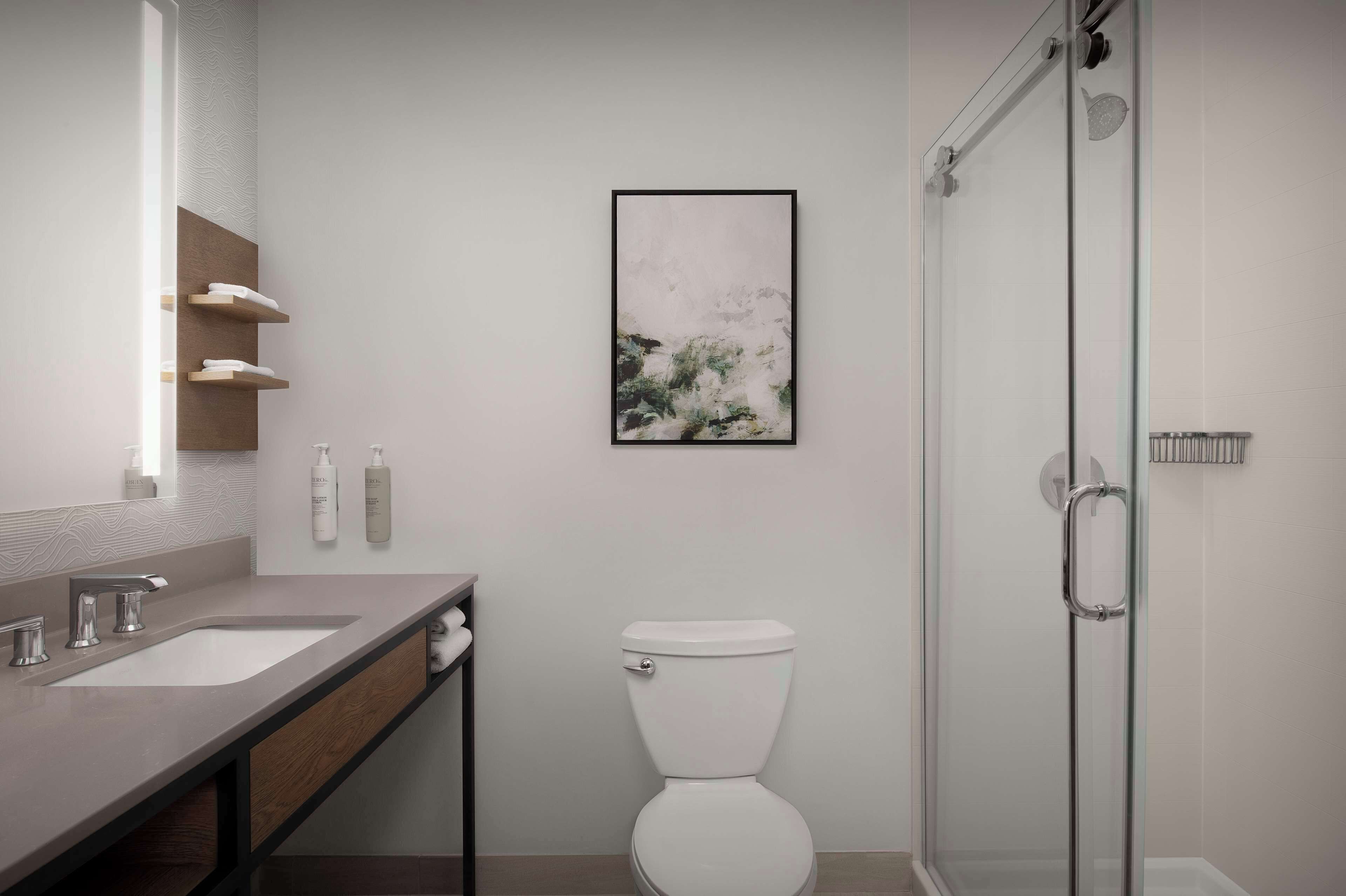 one king evolution room | bathroom shower