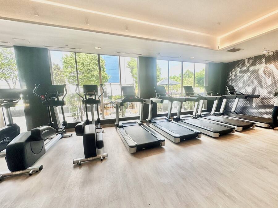 A gym with treadmills, elliptical machines, and free weights. Large windows offer views of trees and a building outside.