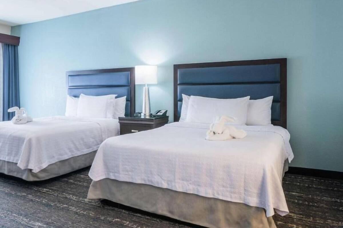 Two twin beds with white bedding, a bedside lamp, and a white towel on each bed.