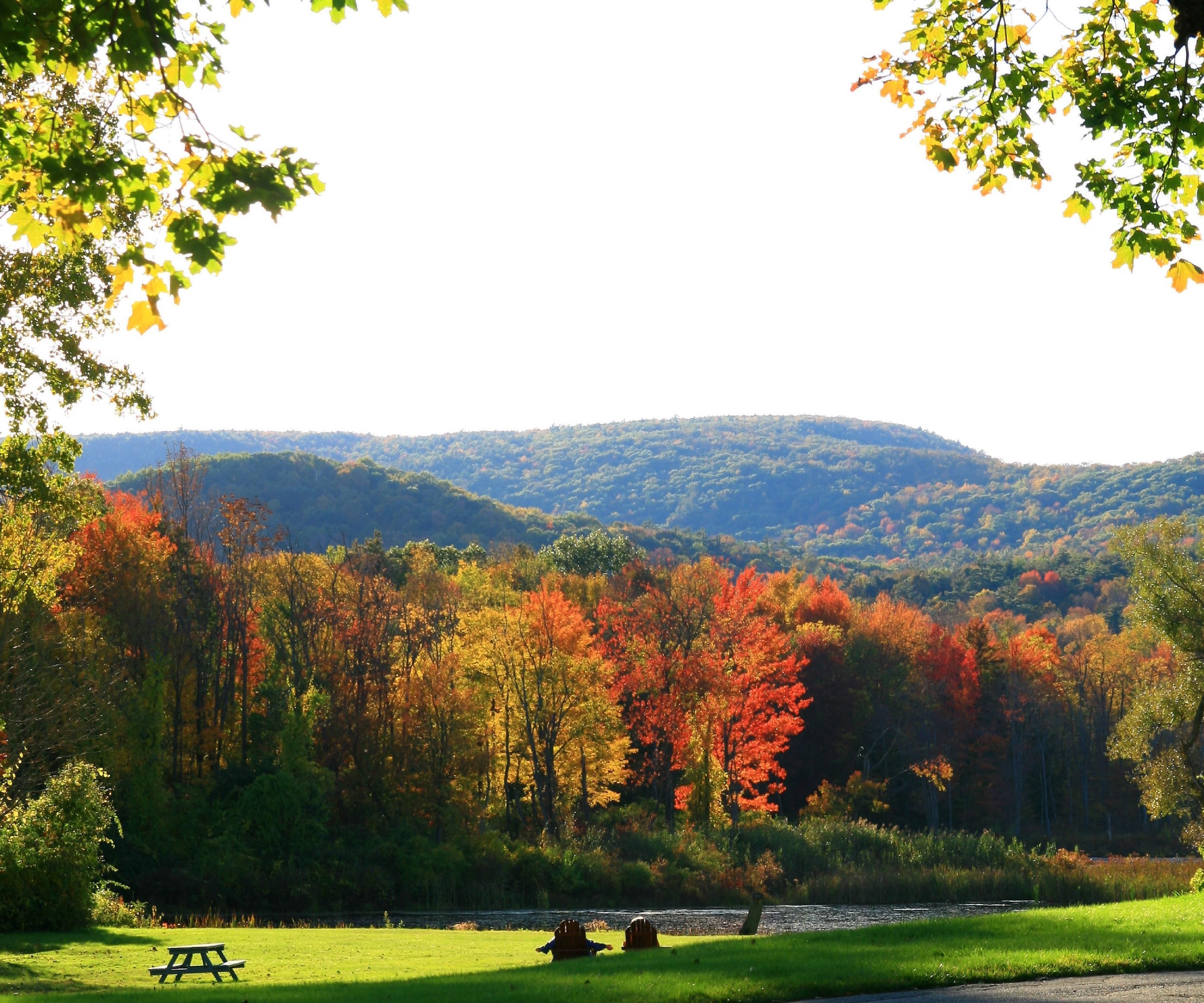 A picnic table in a park with a view of a forested hillside.