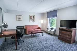 One King Studio Sofabed Non Smoking | Living area | TV - Hampton Inn & Suites Berkshires-Lenox (Lenox)
