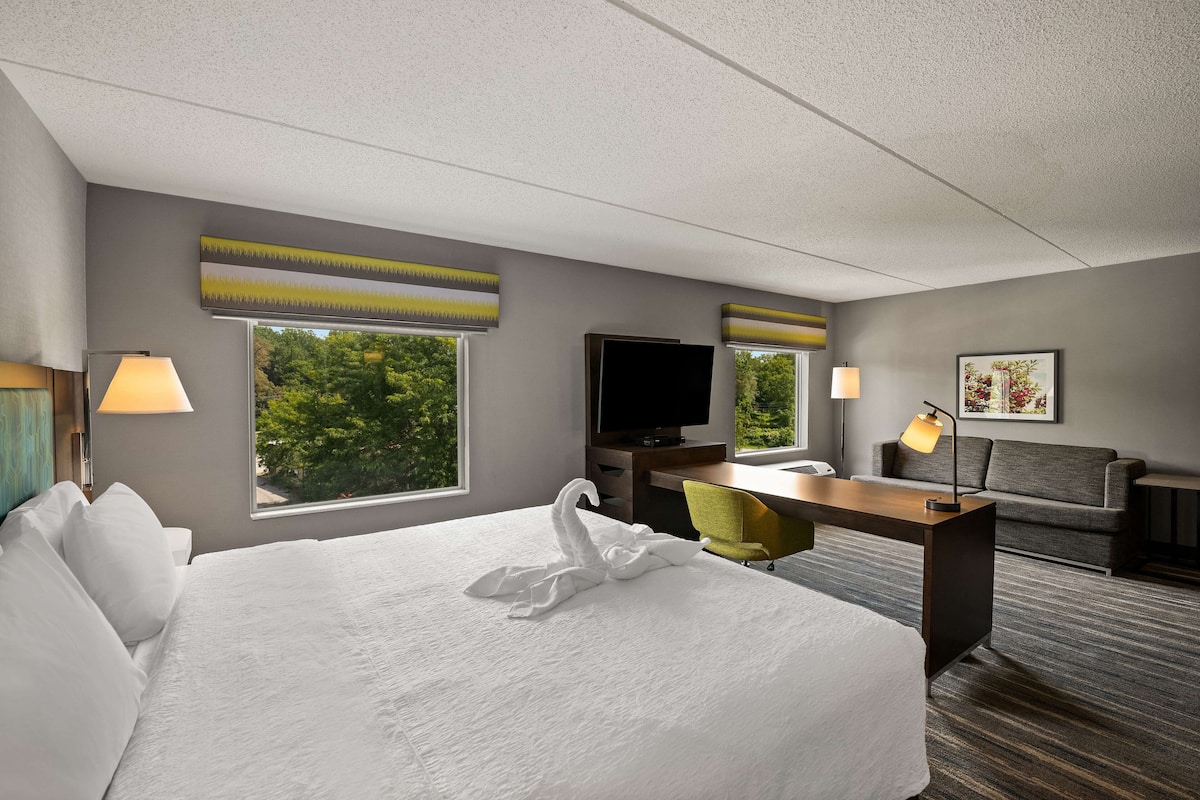 A hotel room with a large bed, a desk, a television, and a view of trees through the window.