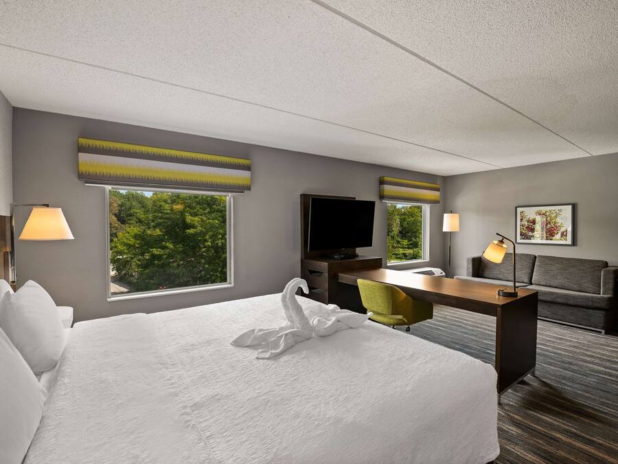 A hotel room with a large bed, a desk, a television, and a view of trees through the window.