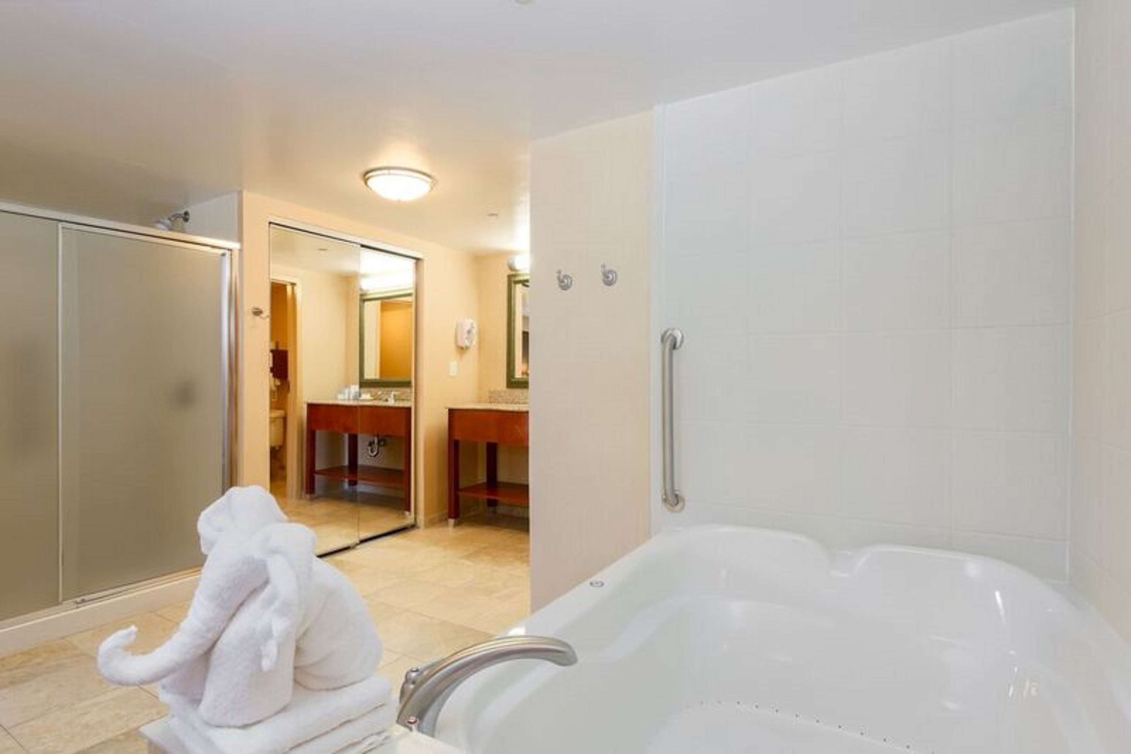 Standard Room | Bathroom