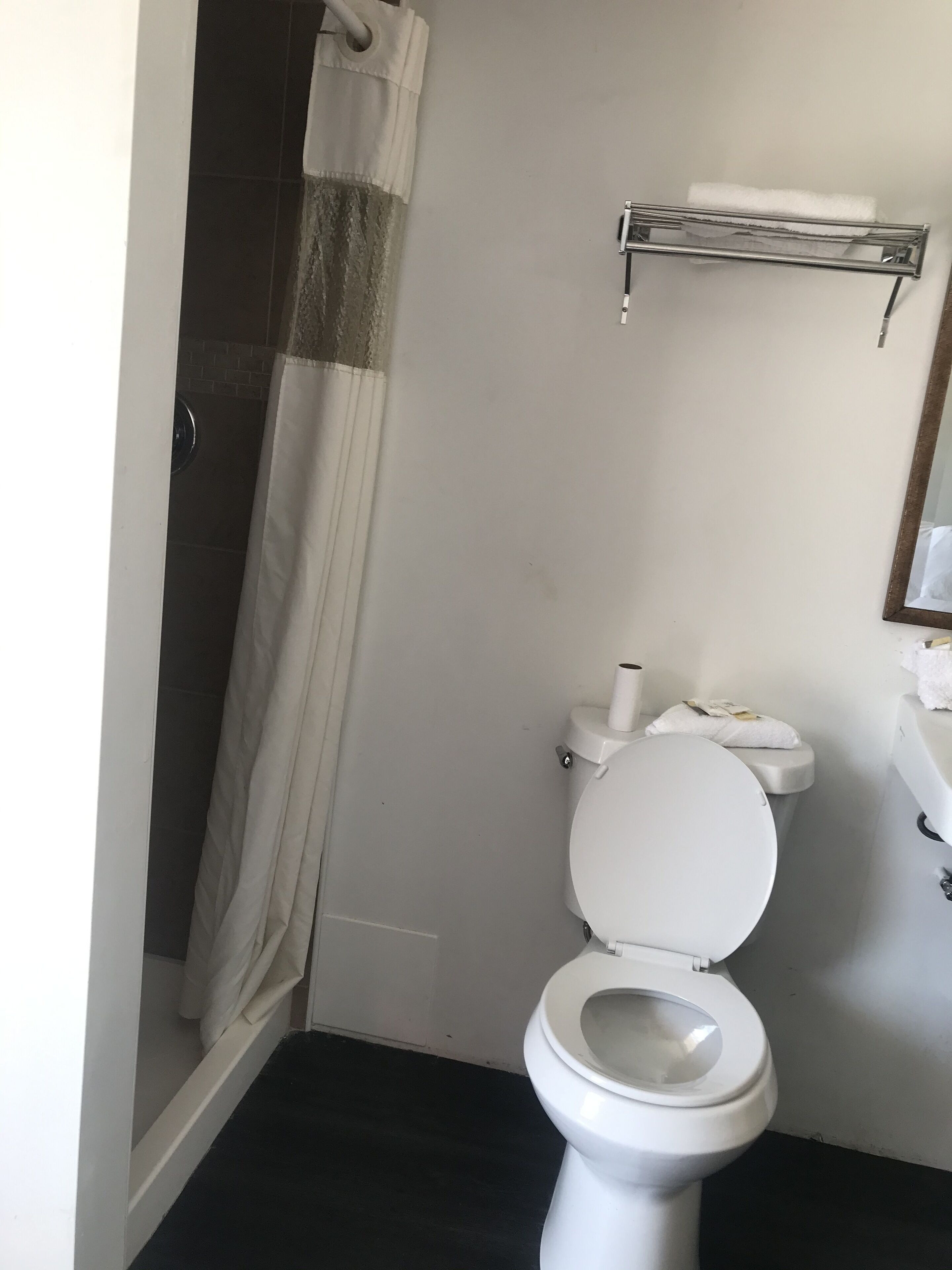 A bathroom with a white toilet, a shower curtain, and a towel rack.