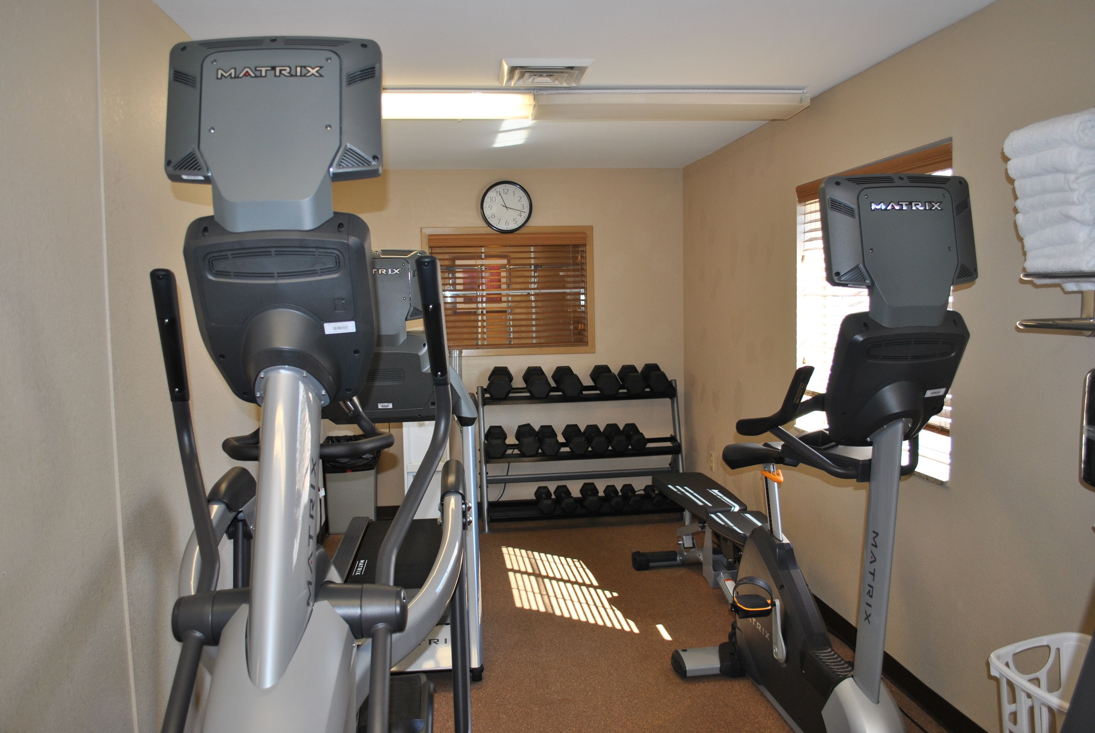 A gym with two stationary bikes, a treadmill, and a rack of dumbbells.