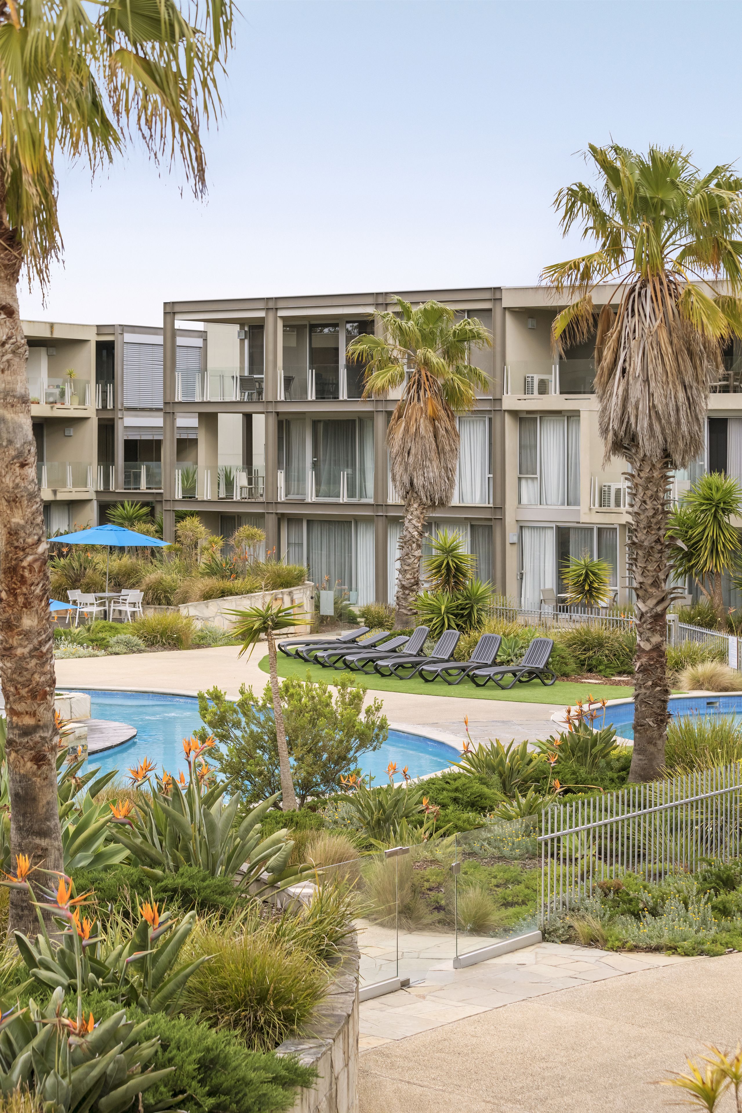 Un hotel amb piscina, palmeres i gandules.