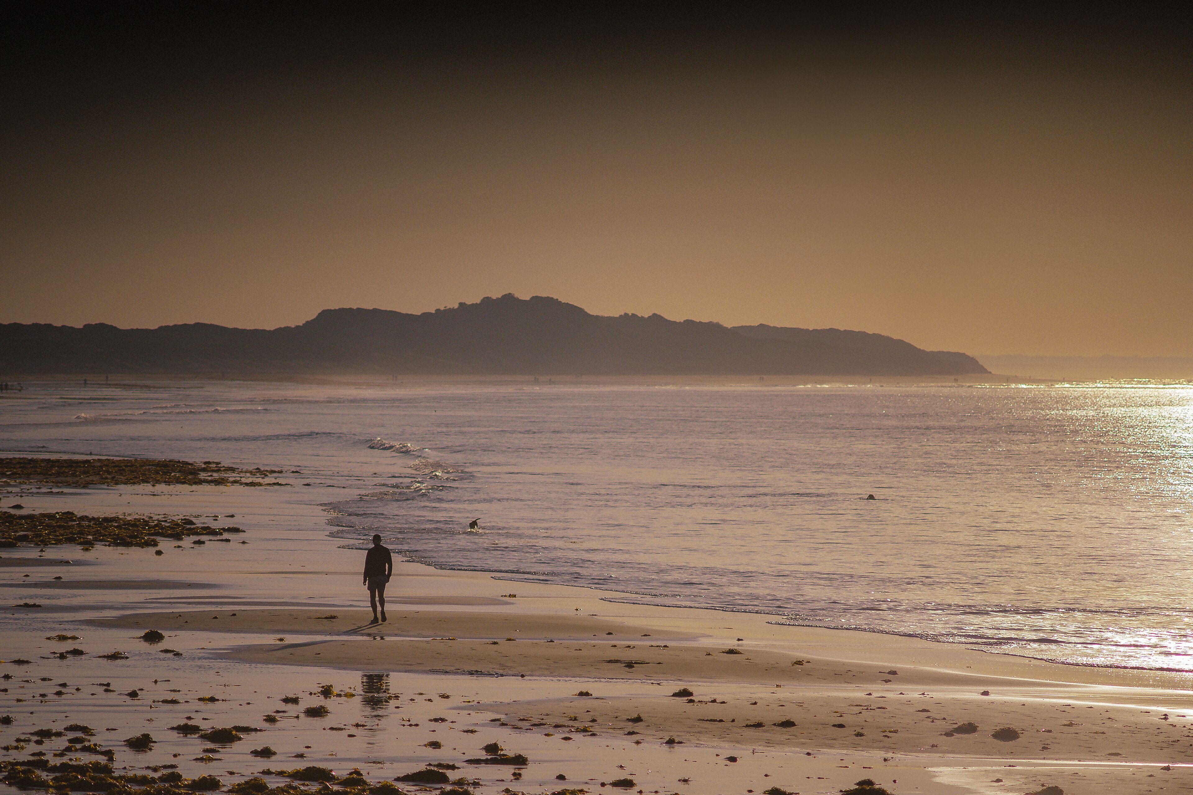 A beach with a person walking along the shore, distant hills, and calm water.