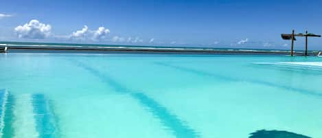 Outdoor pool, sun loungers