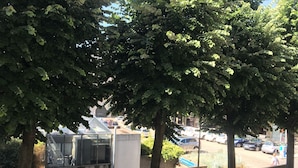 A parking area with several cars, trees, and a small structure with a glass roof. - Hôtel Vieille Tour Centre Rouen (Rouen)