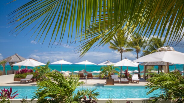 Un espace aménagé au bord de la piscine, avec des chaises longues et des parasols, entouré de palmiers et surplombé d’un ciel bleu azur.