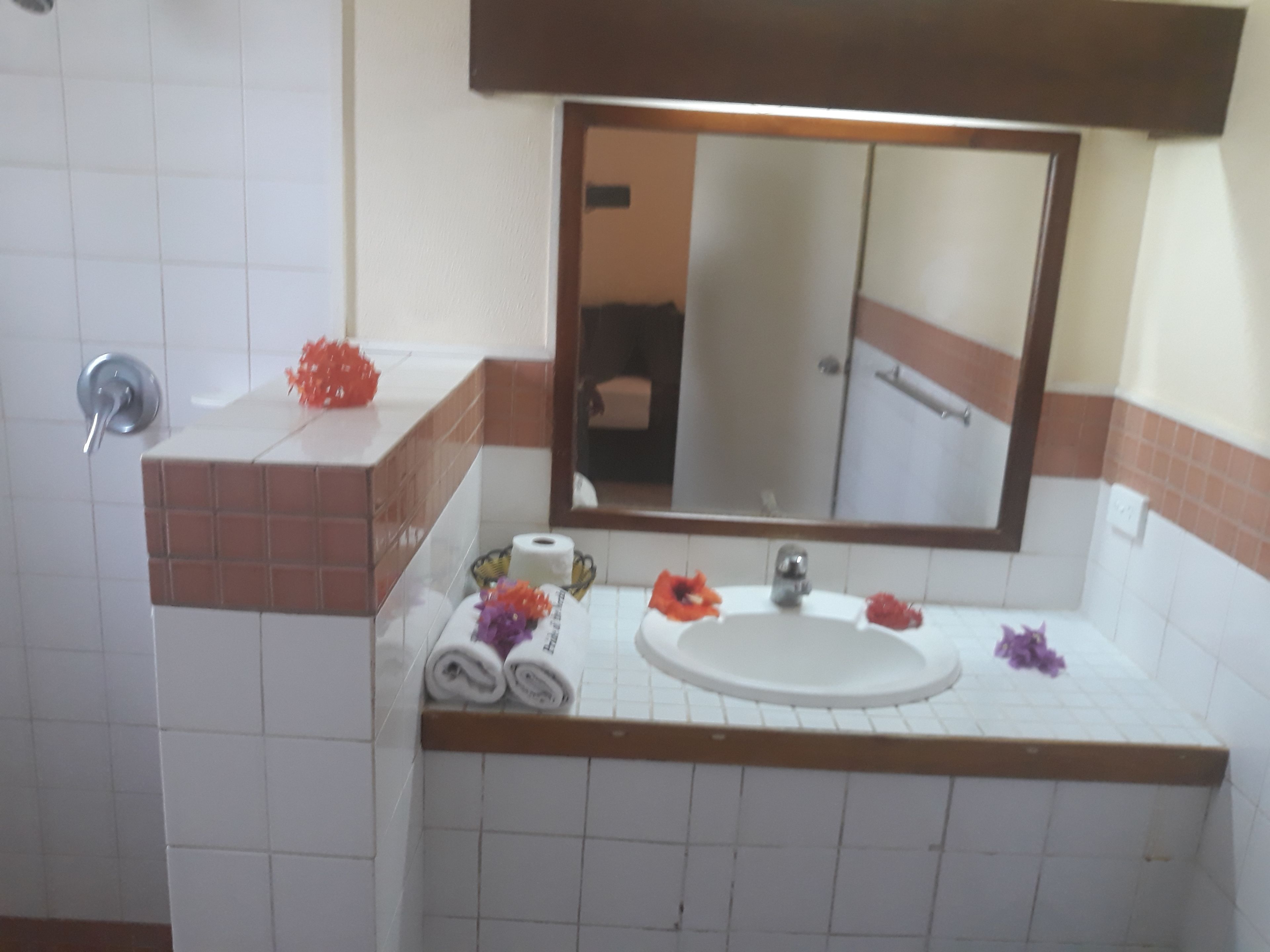 Un baño con un lavamanos blanco, un espejo y un perchero para toallas.
