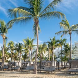 On the beach, sun-loungers, beach umbrellas, beach towels
