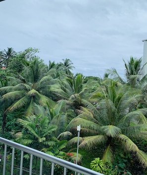 Front of property - Suva Motor Inn (Suva)