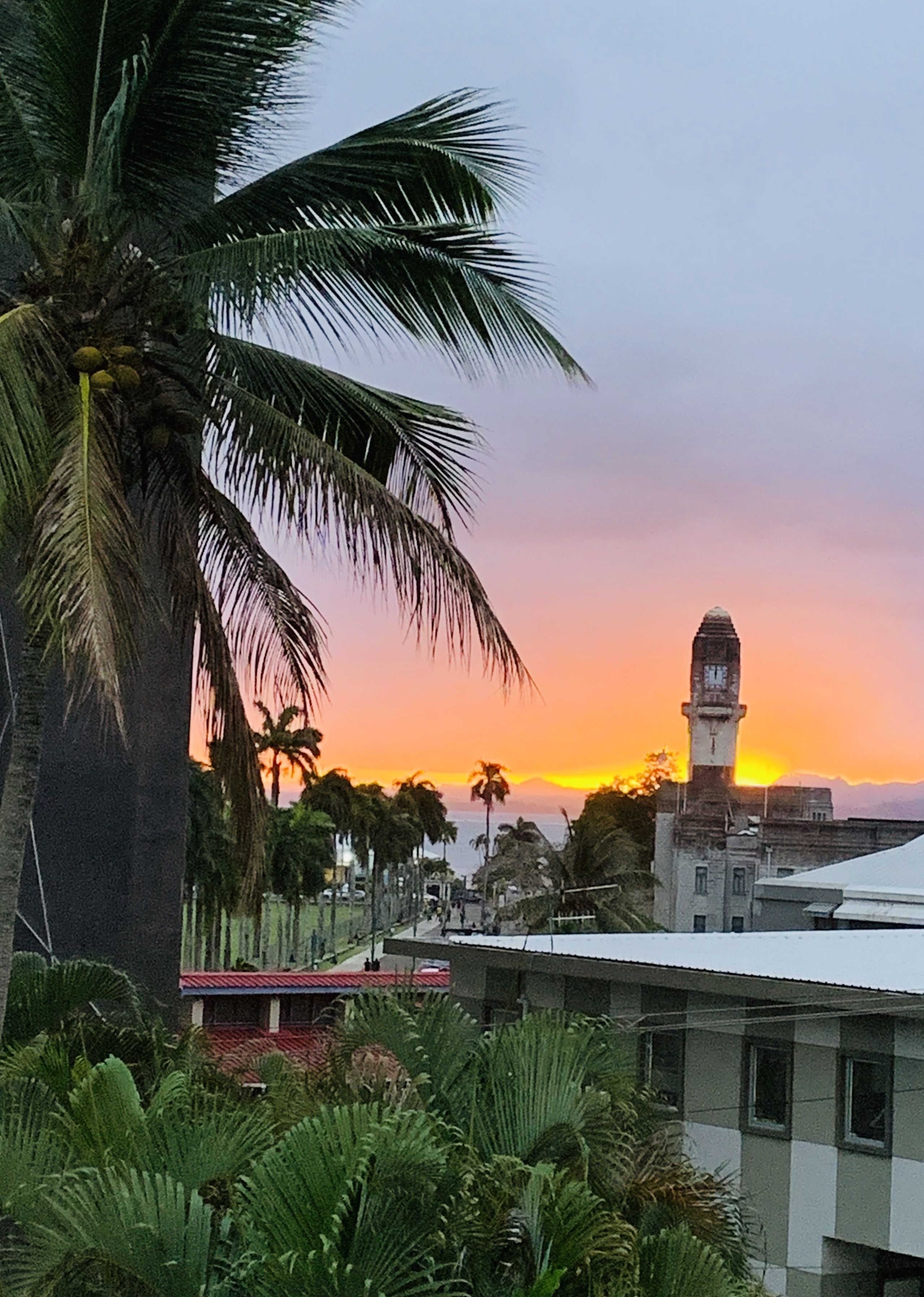 A sunset view with palm trees and a clock tower.