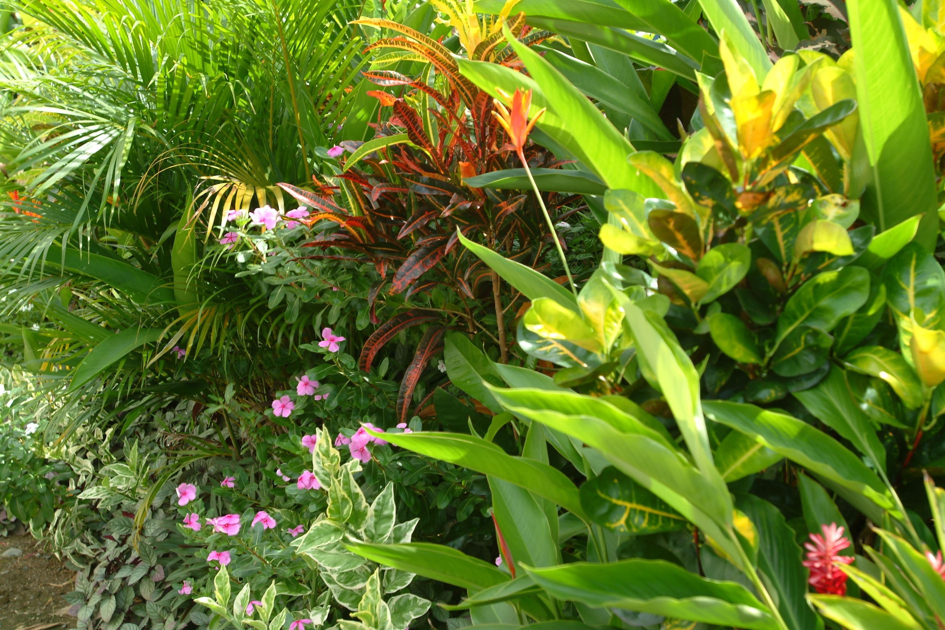 Foto - Hexagon International Hotel, Villas & Spa