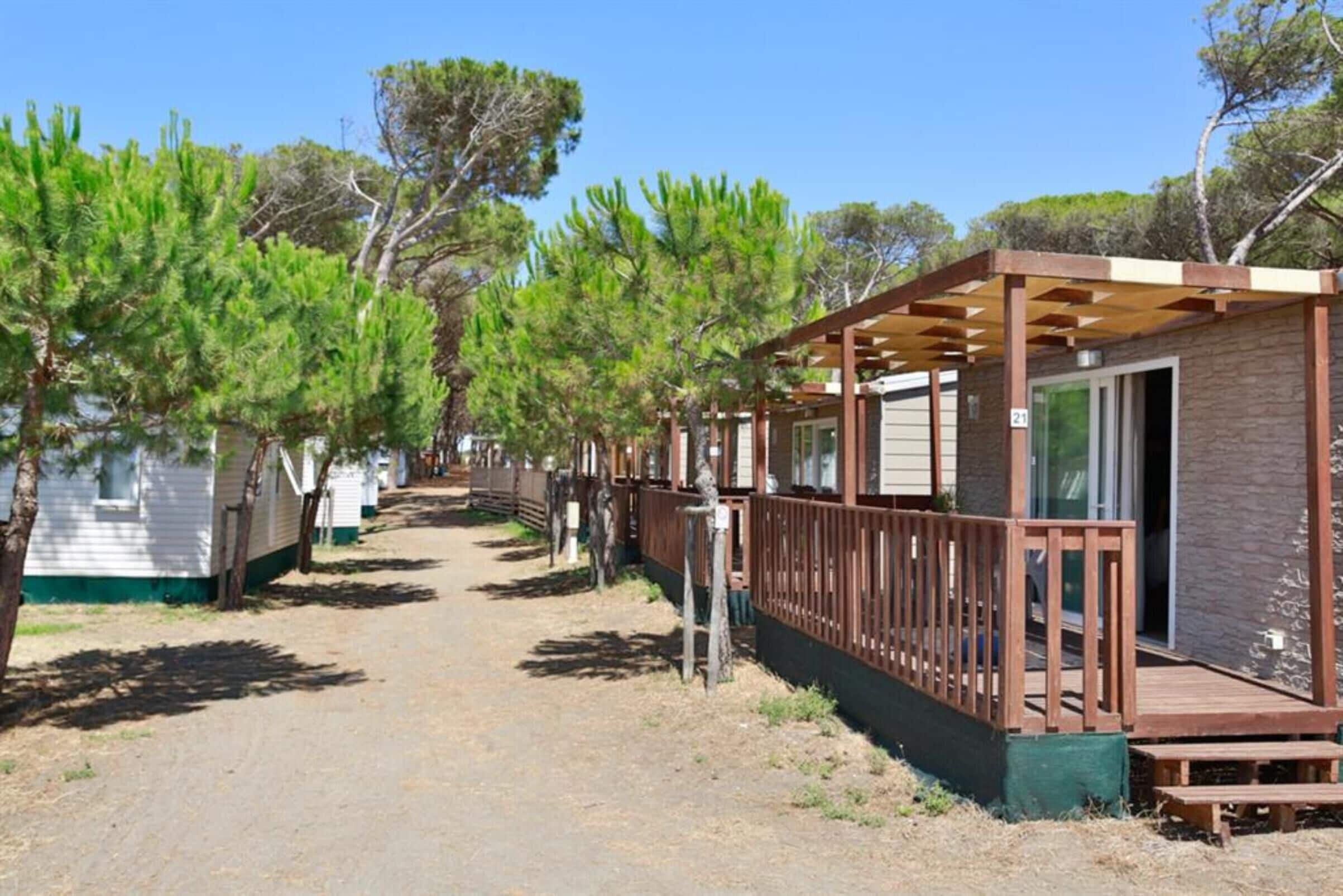 Habitació Comfort | Terrassa o pati