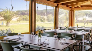 Een restaurant met tafels en stoelen, grote ramen en uitzicht op een groen landschap.