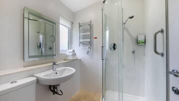 A modern bathroom with a glass-enclosed shower, a white sink, and a mirror above the sink.