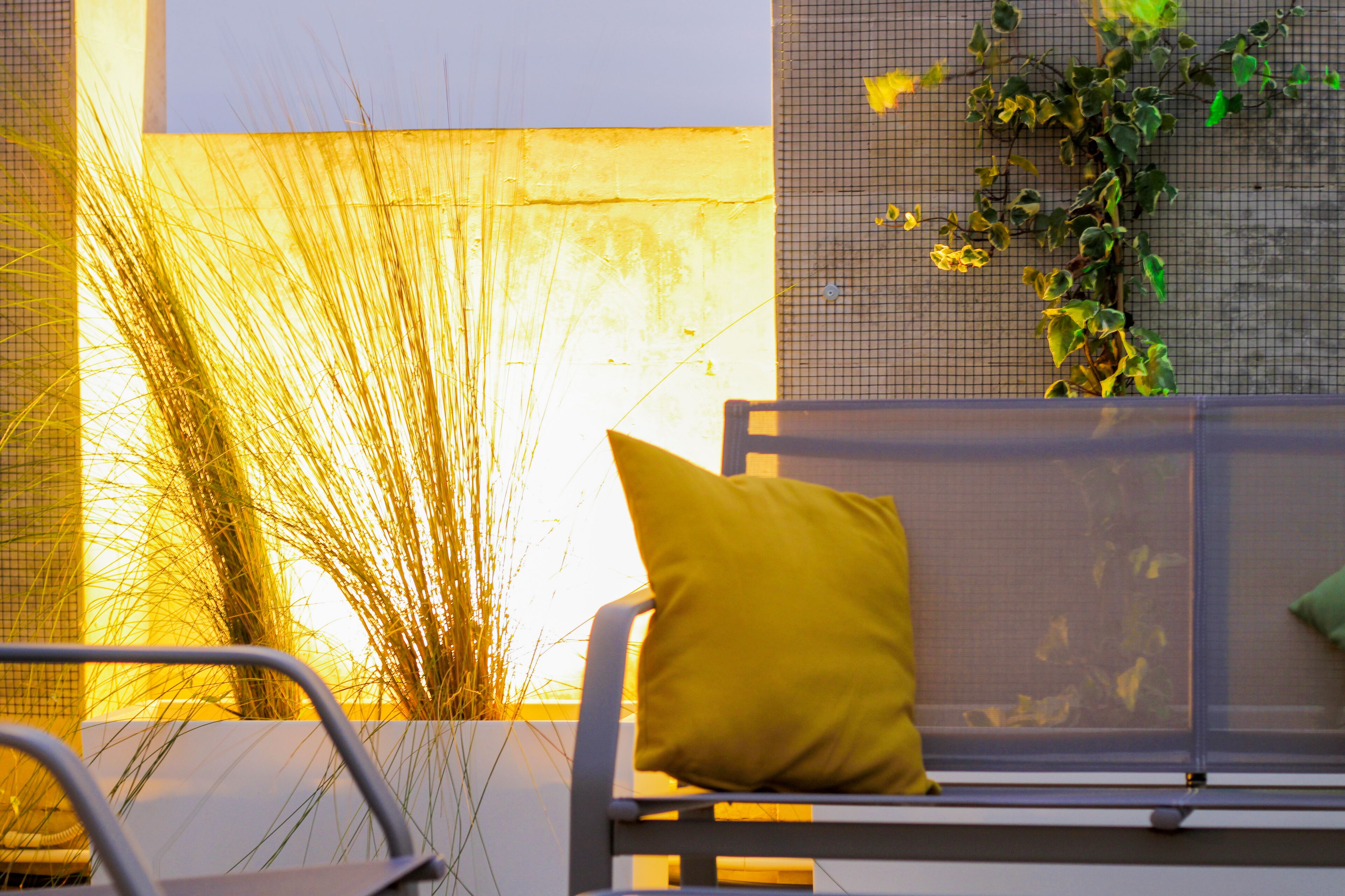 A bench with a yellow cushion, a mesh screen, and tall grasses in the background.
